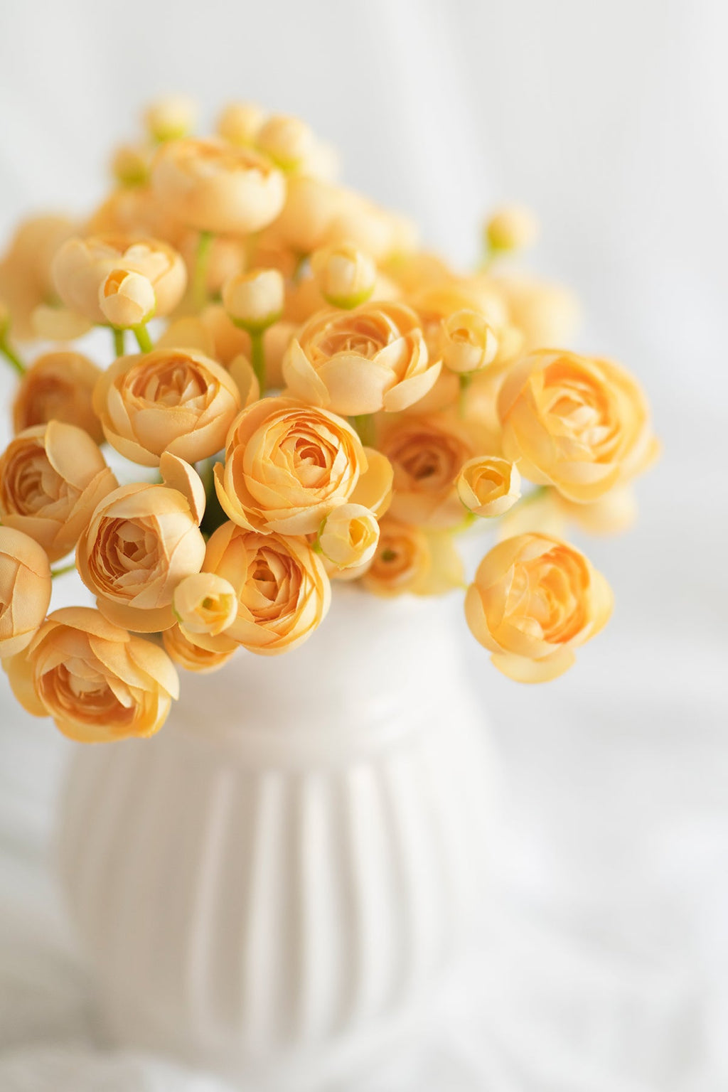 Ranunculus Flowers with Stem - 8 Colors