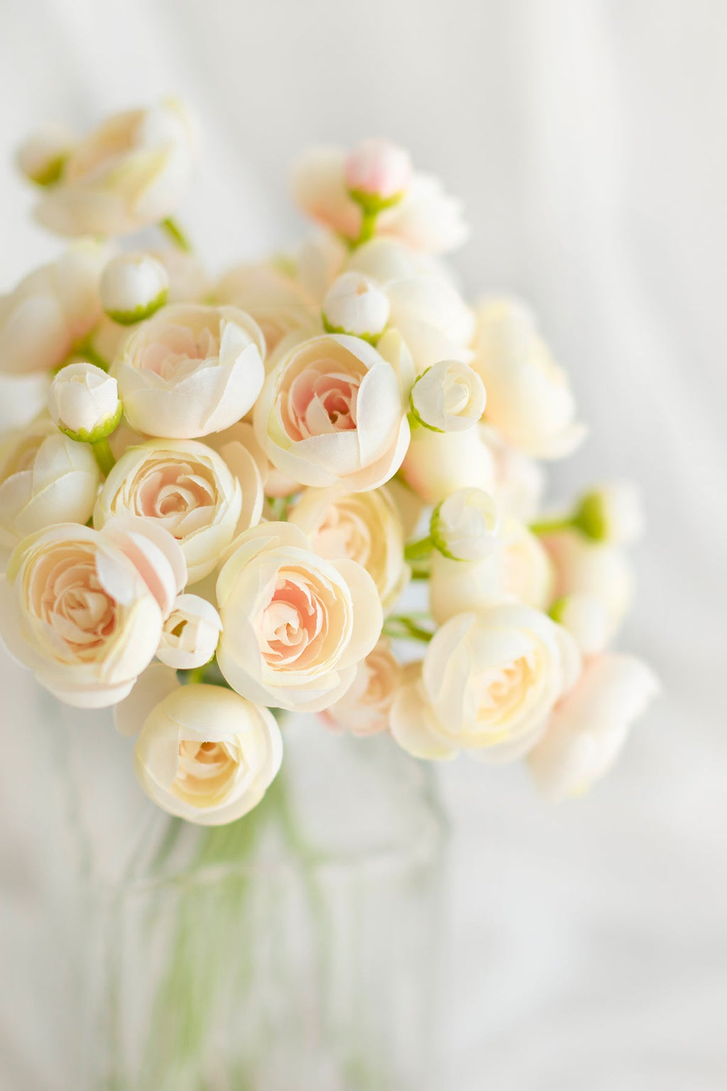 Ranunculus Flowers with Stem - 8 Colors