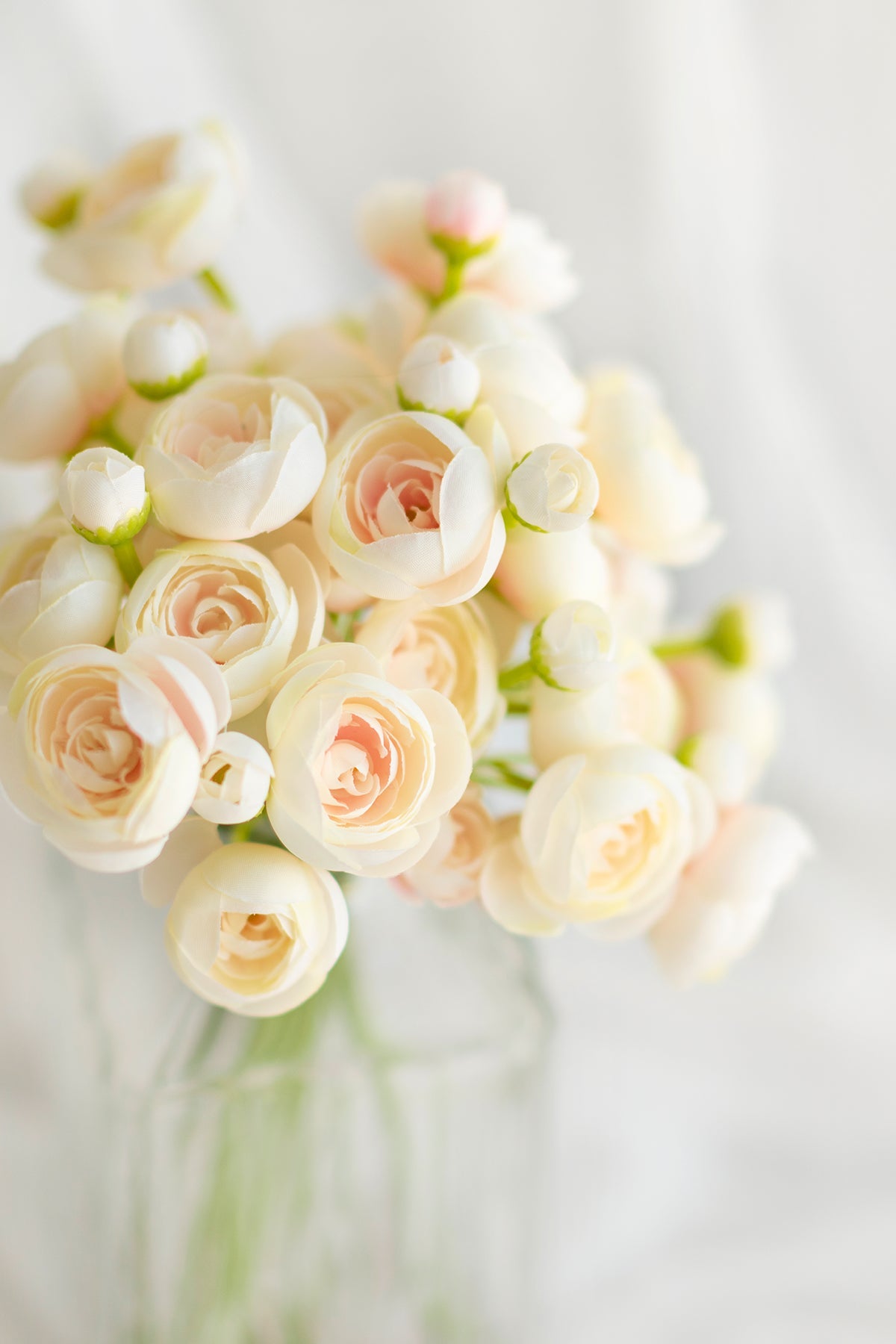 Ranunculus Flowers with Stem - 8 Colors