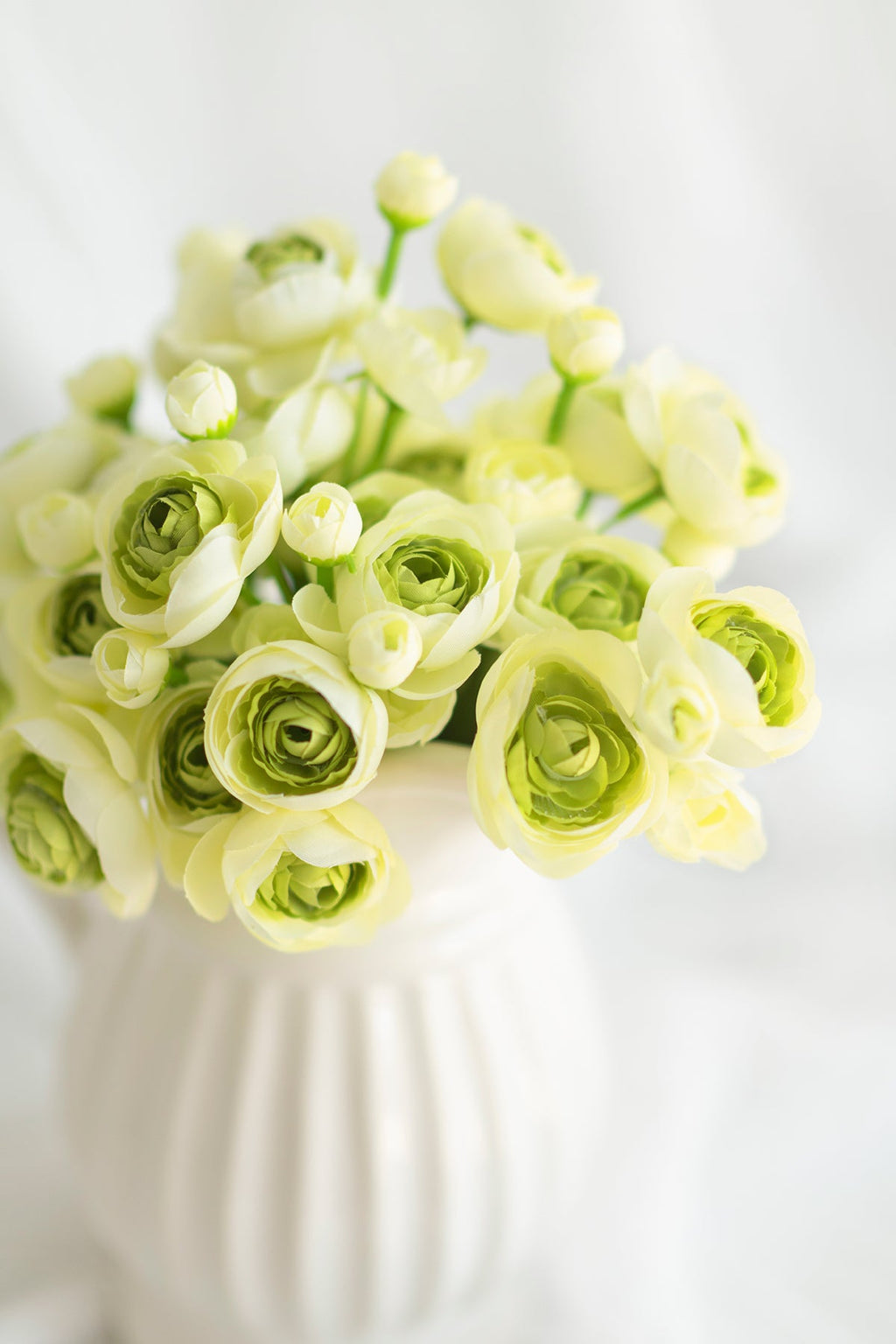 Ranunculus Flowers with Stem - 8 Colors