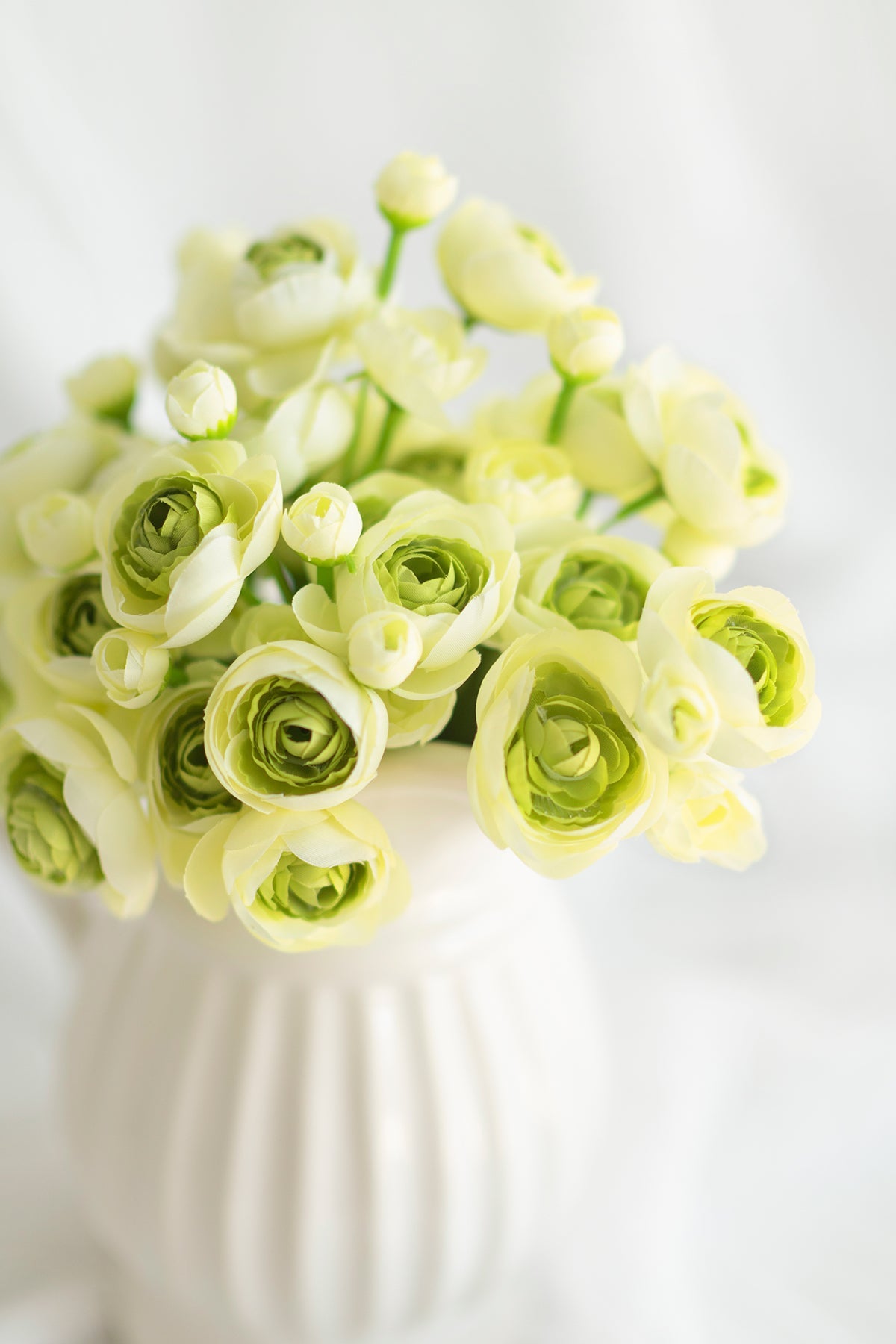 Ranunculus Flowers with Stem - 8 Colors