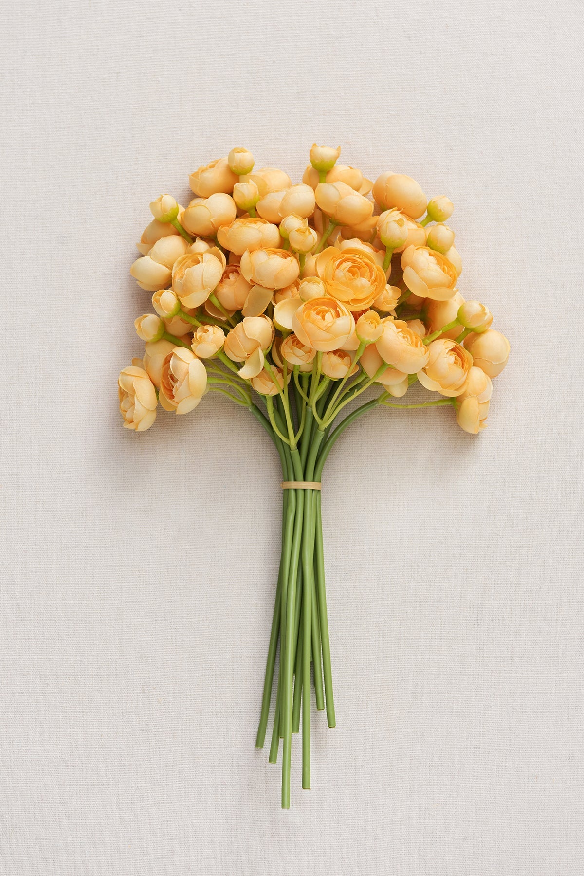 Ranunculus Flowers with Stem - 8 Colors