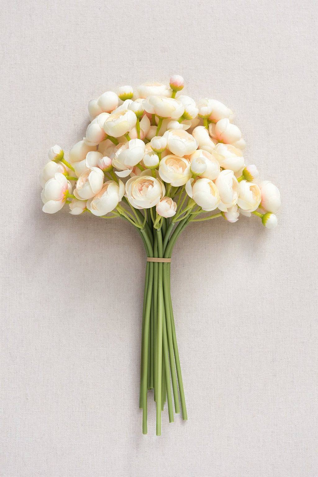 Ranunculus Flowers with Stem - 8 Colors