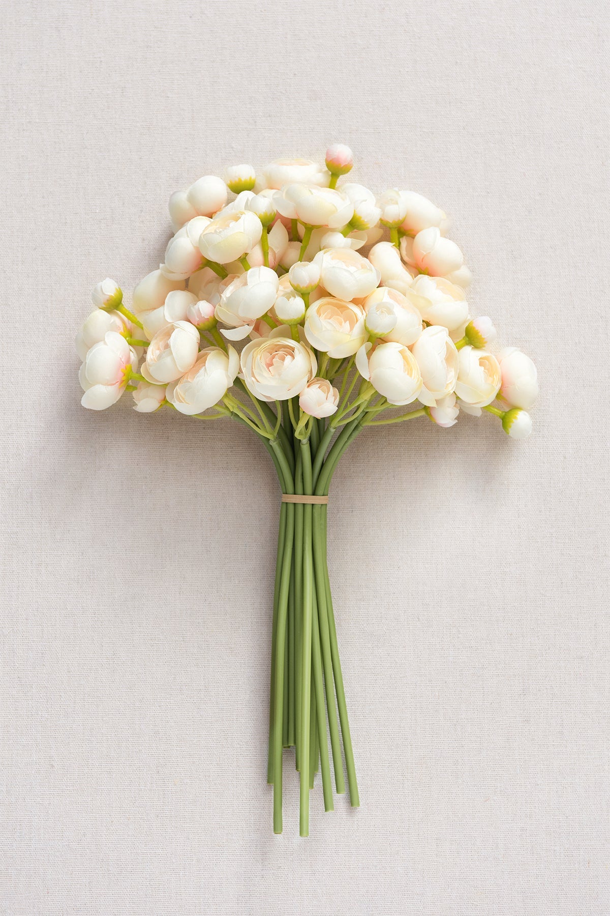 Ranunculus Flowers with Stem - 8 Colors