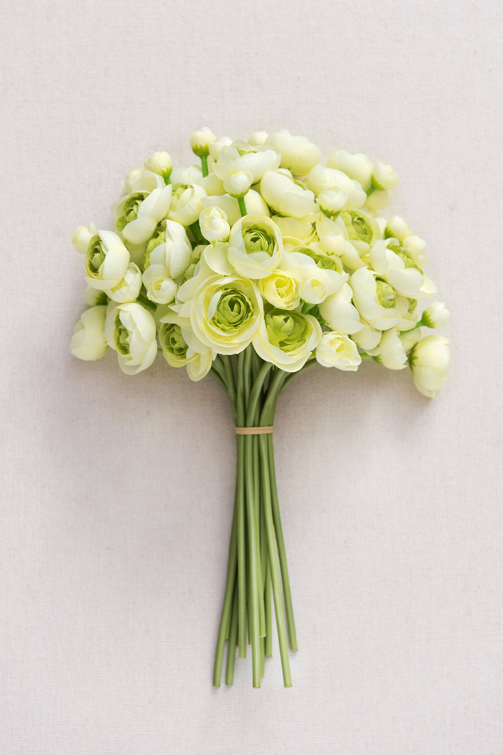 Ranunculus Flowers with Stem - 8 Colors