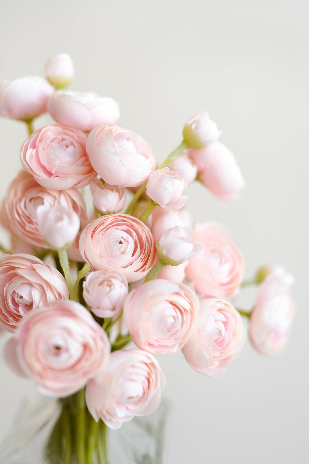 Ranunculus Flowers with Stem - 8 Colors