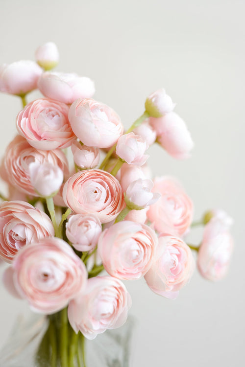 Ranunculus Flowers with Stem - 8 Colors