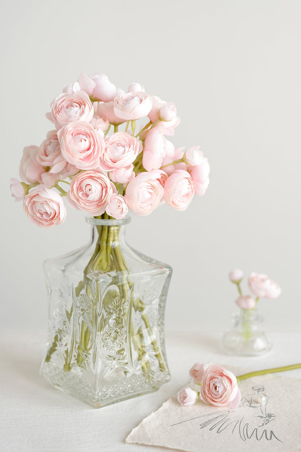 Ranunculus Flowers with Stem - 8 Colors