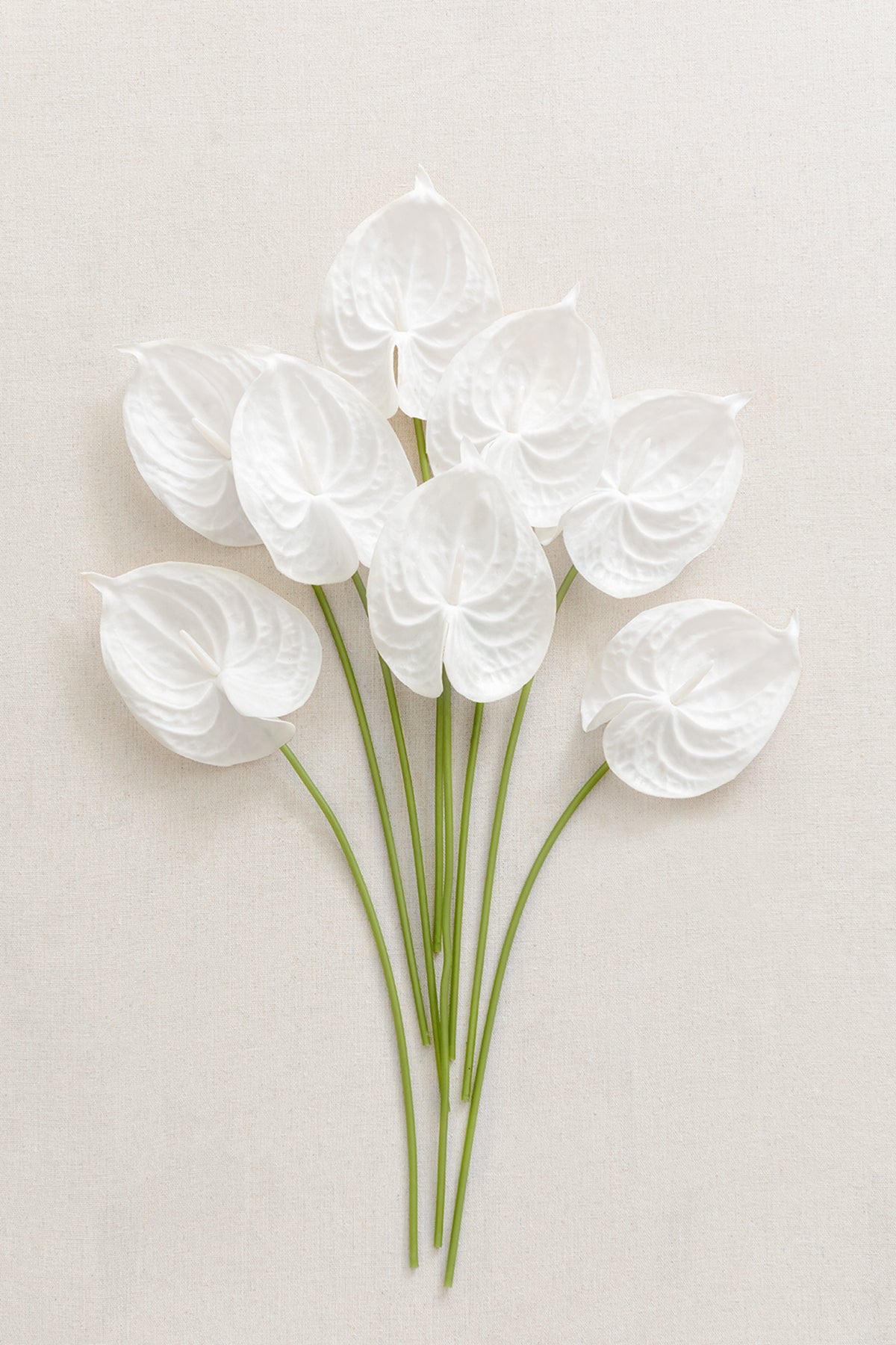 15" Anthurium Flowers with Stem - 5 Colors