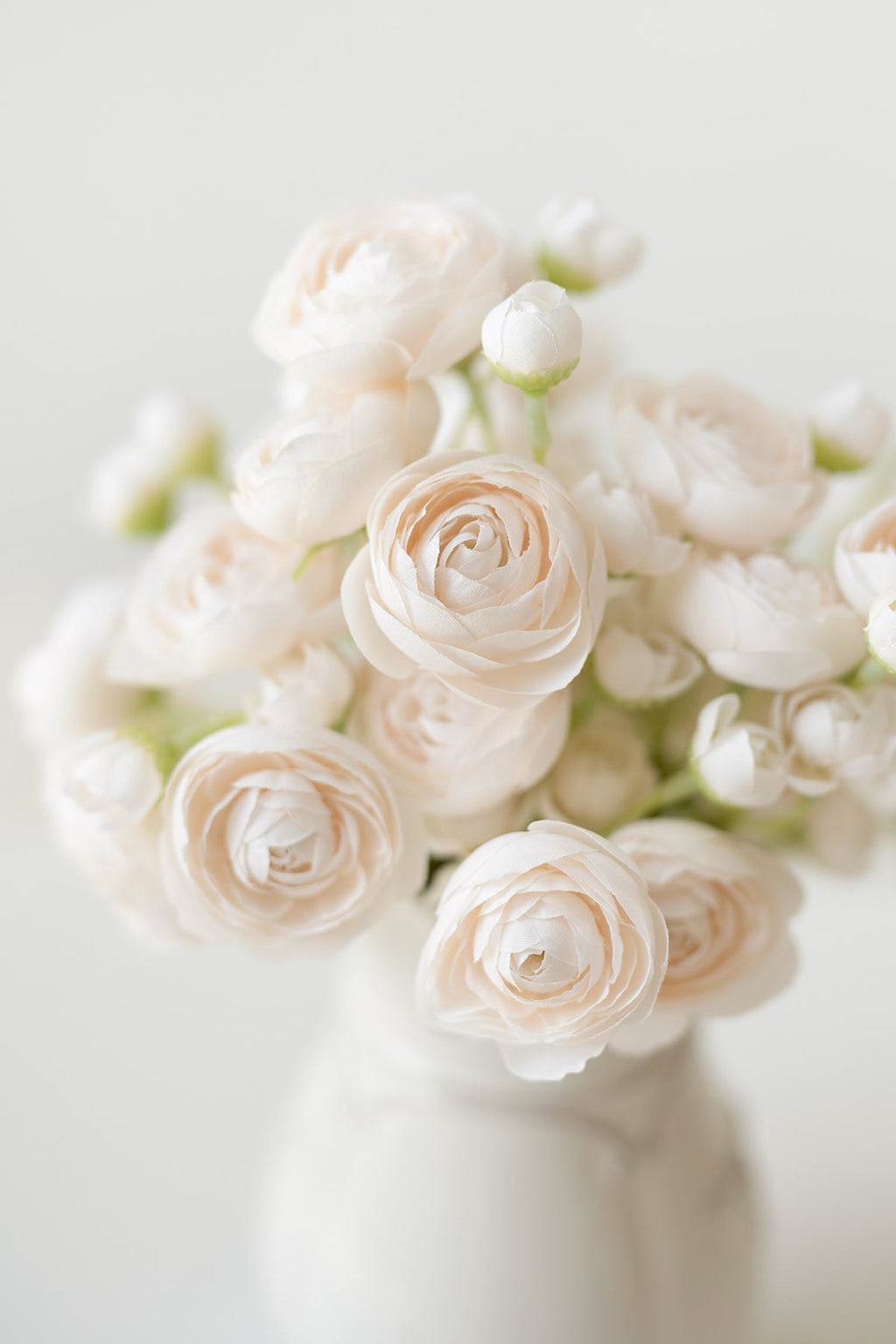 Ranunculus Flowers with Stem - 8 Colors
