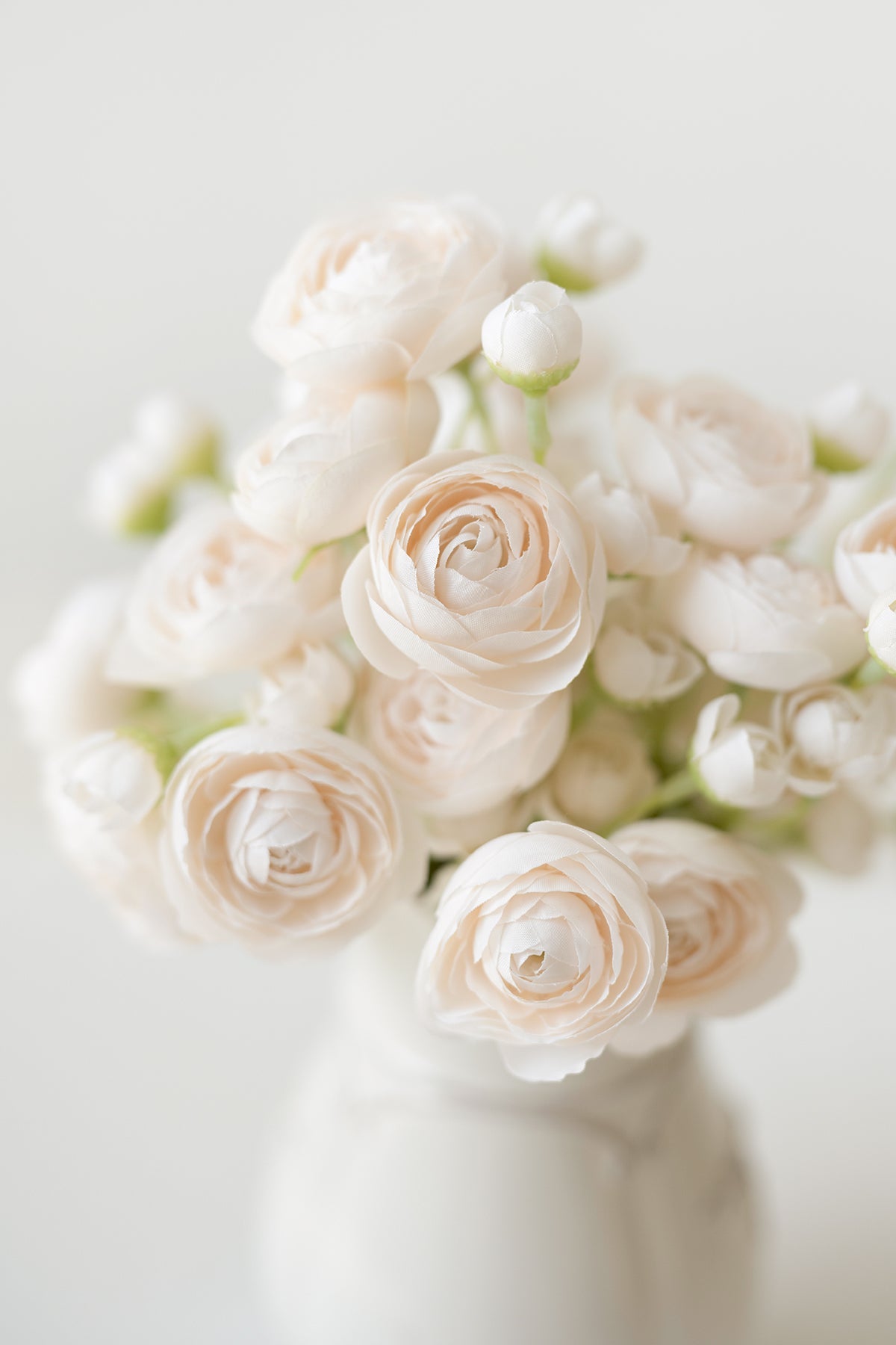 Ranunculus Flowers with Stem - 8 Colors