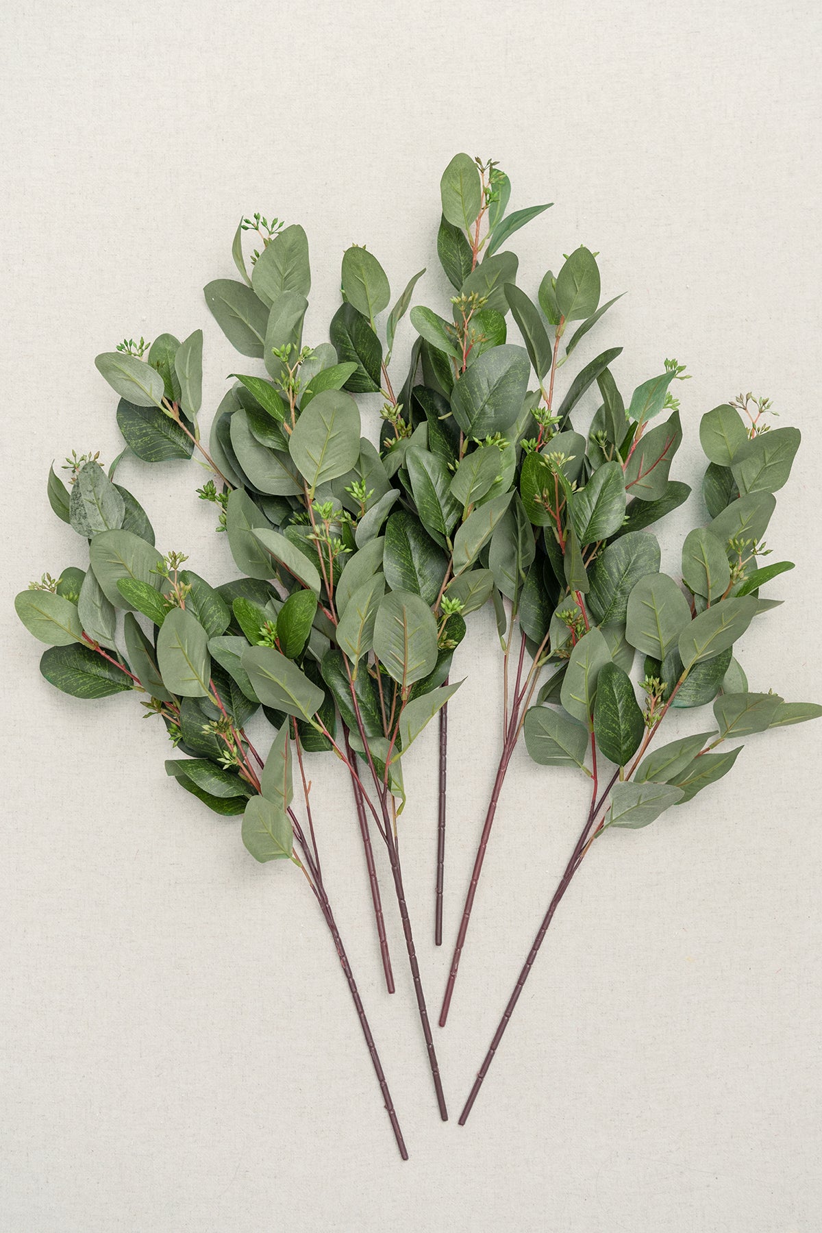 Dark Green Seeded Oval Eucalyptus - 6PCS