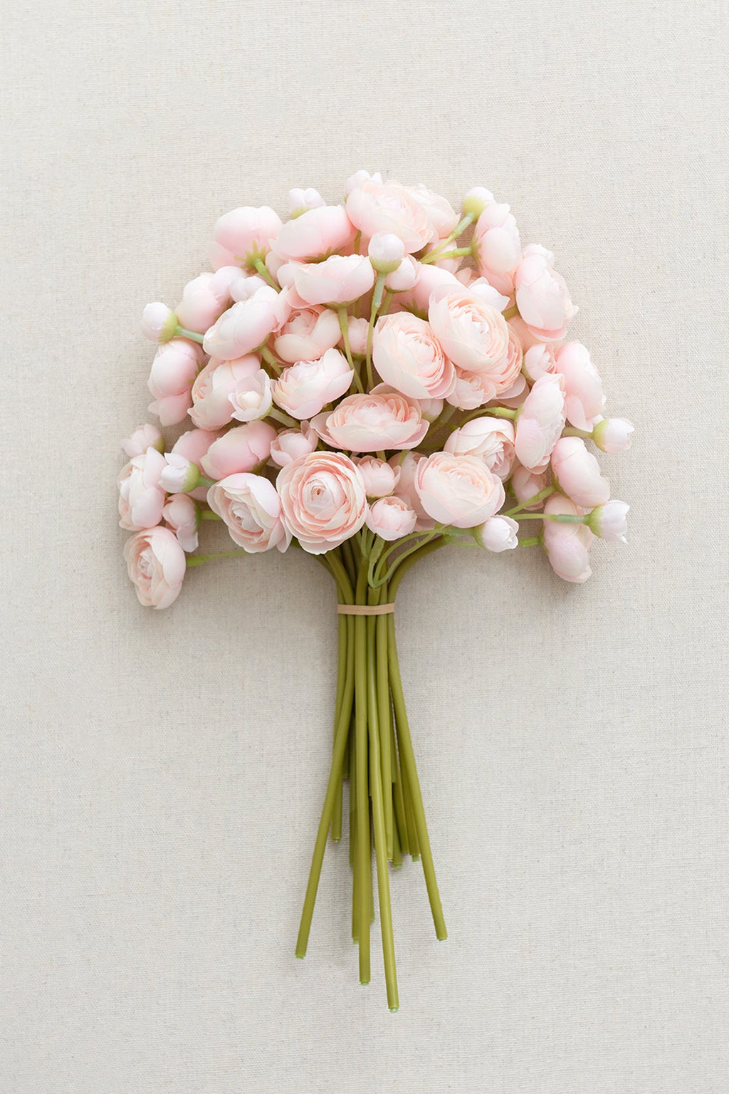 Ranunculus Flowers with Stem - 8 Colors