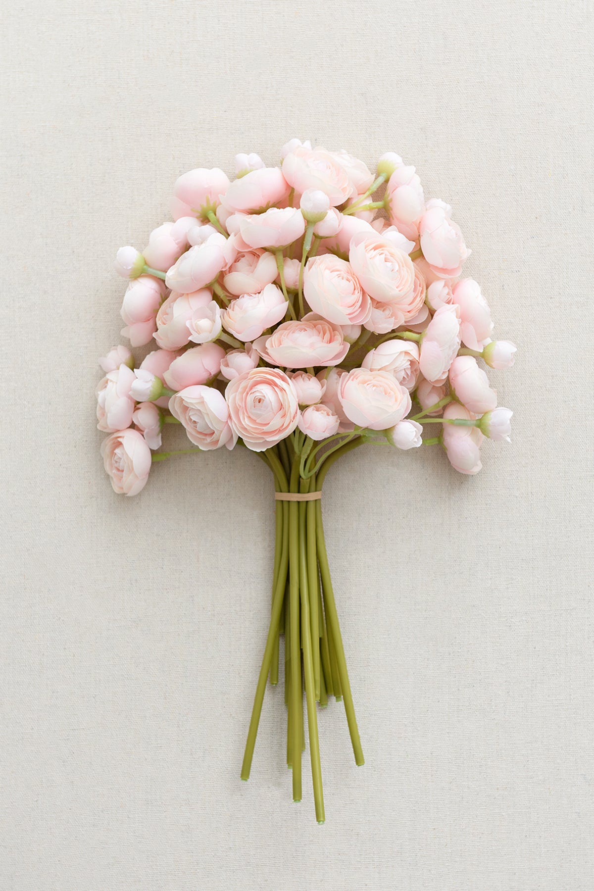 Ranunculus Flowers with Stem - 8 Colors