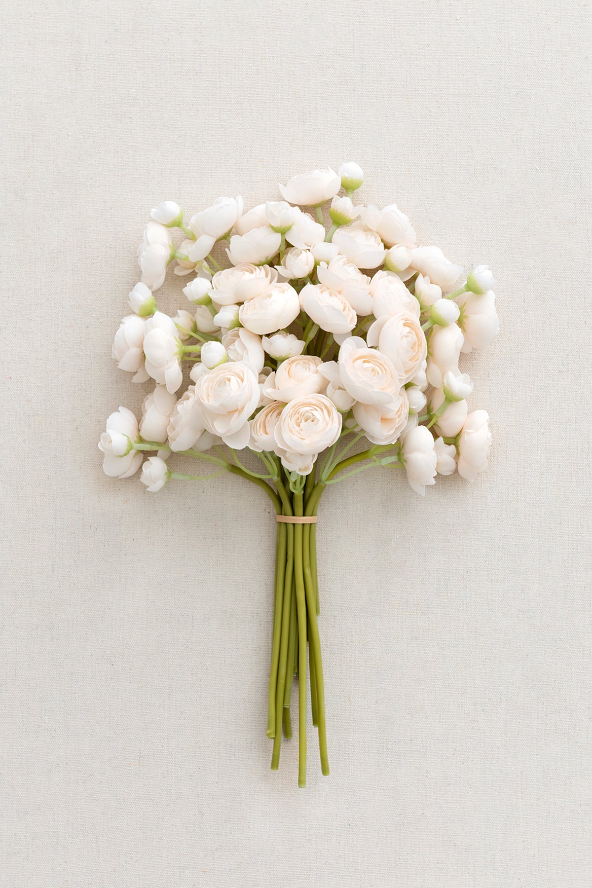 Ranunculus Flowers with Stem - 8 Colors