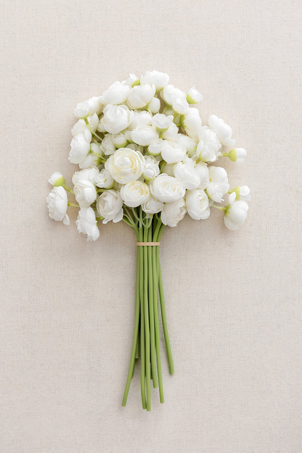 Ranunculus Flowers with Stem - 8 Colors