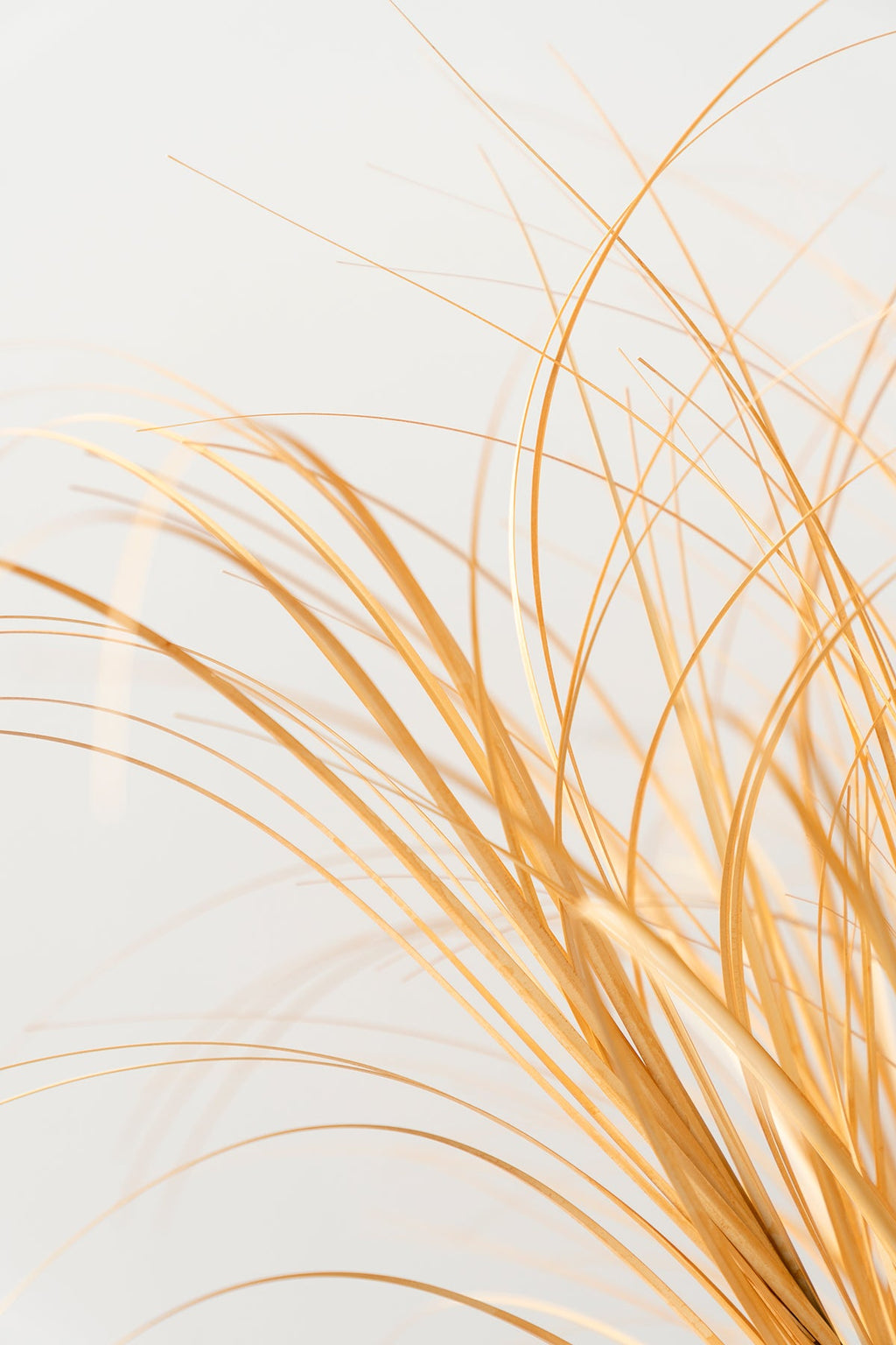 2.3ft Wheat Grass Branches