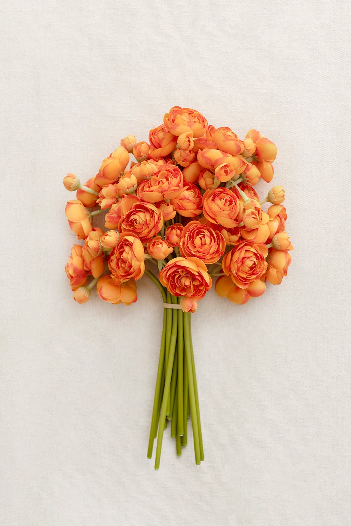 Ranunculus Flowers with Stem - 8 Colors