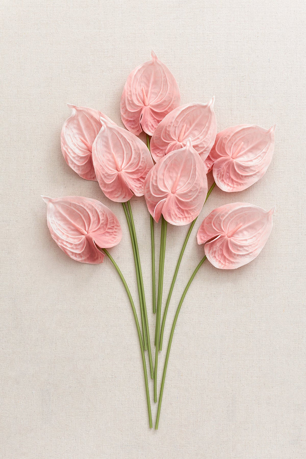 15" Anthurium Flowers with Stem - 5 Colors