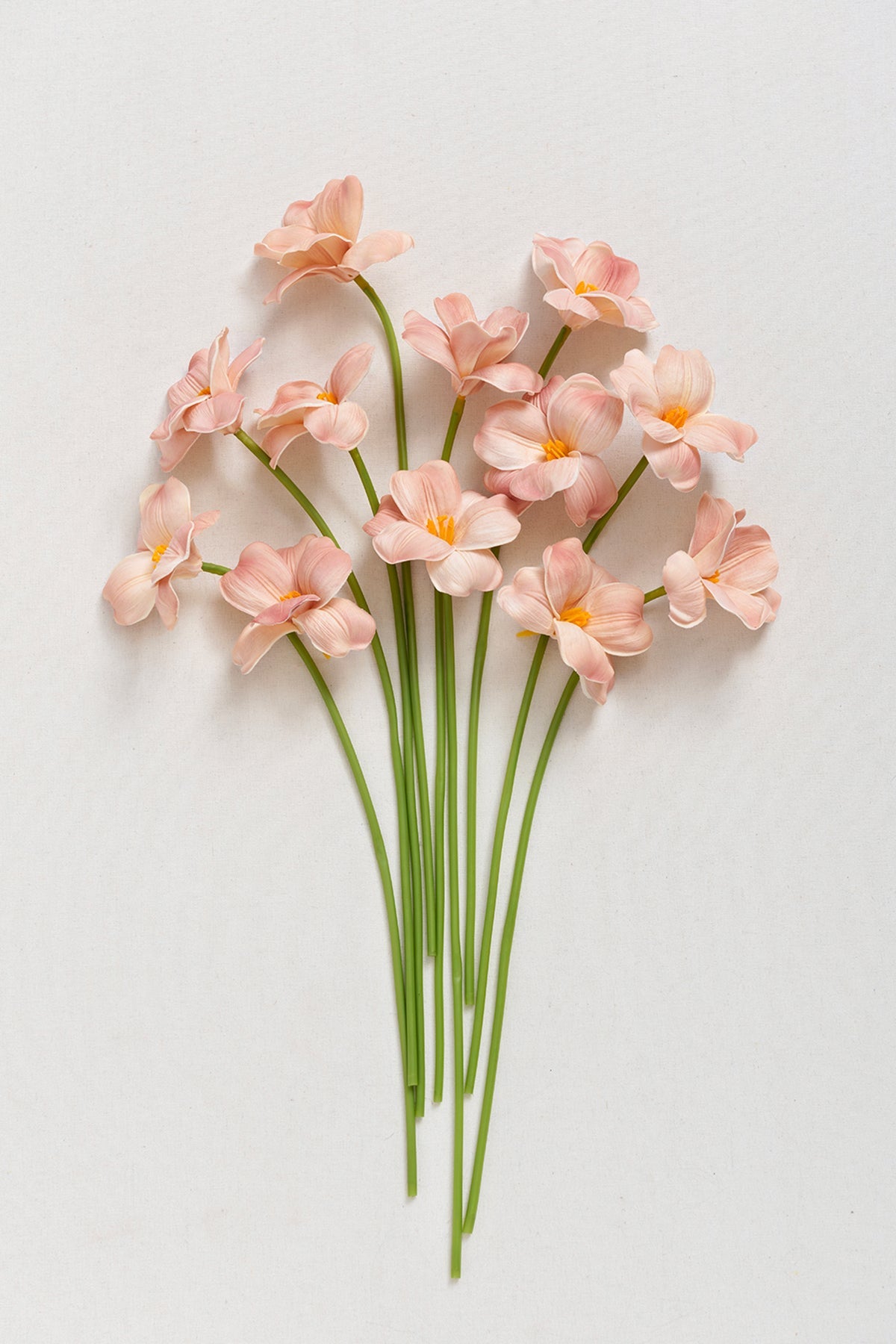 Tulips with Stem - 2 Colors