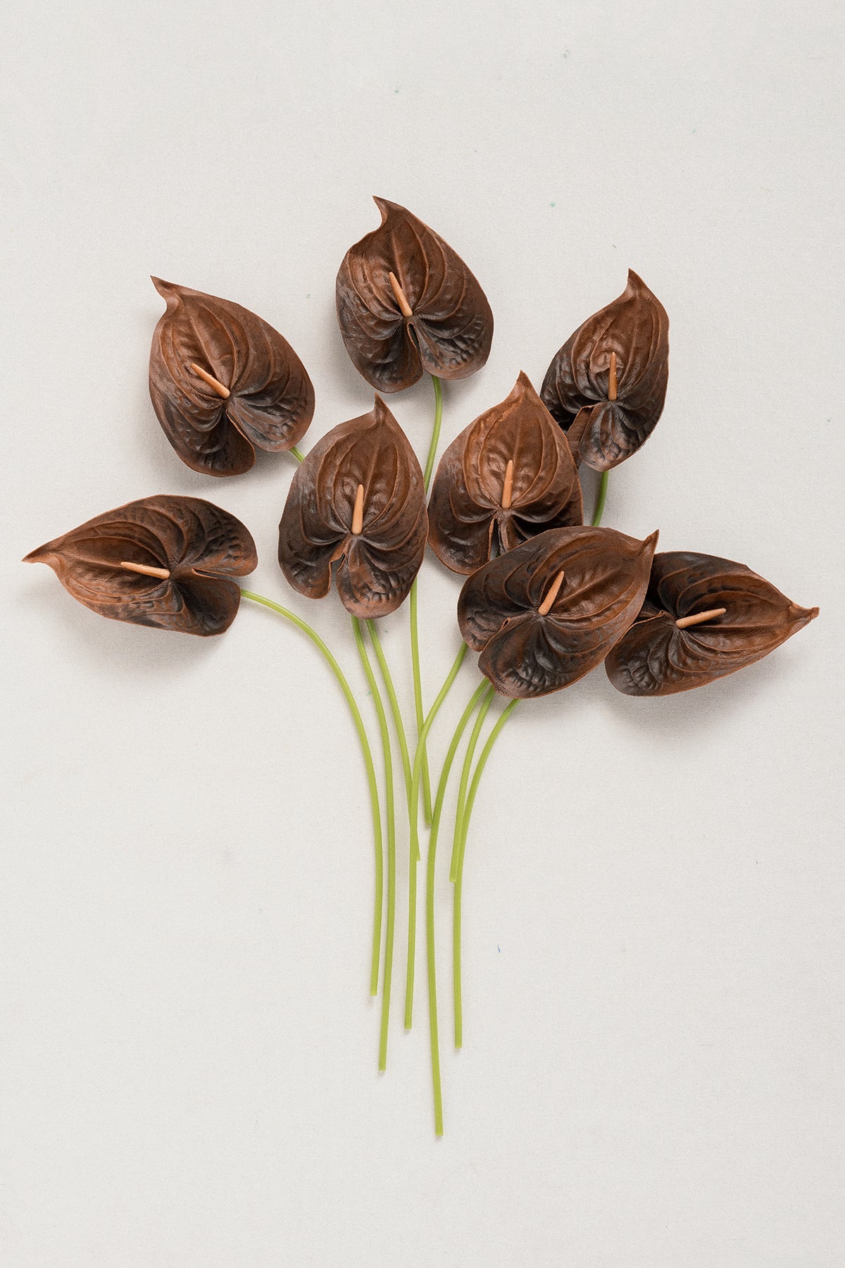 15" Anthurium Flowers with Stem - 5 Colors