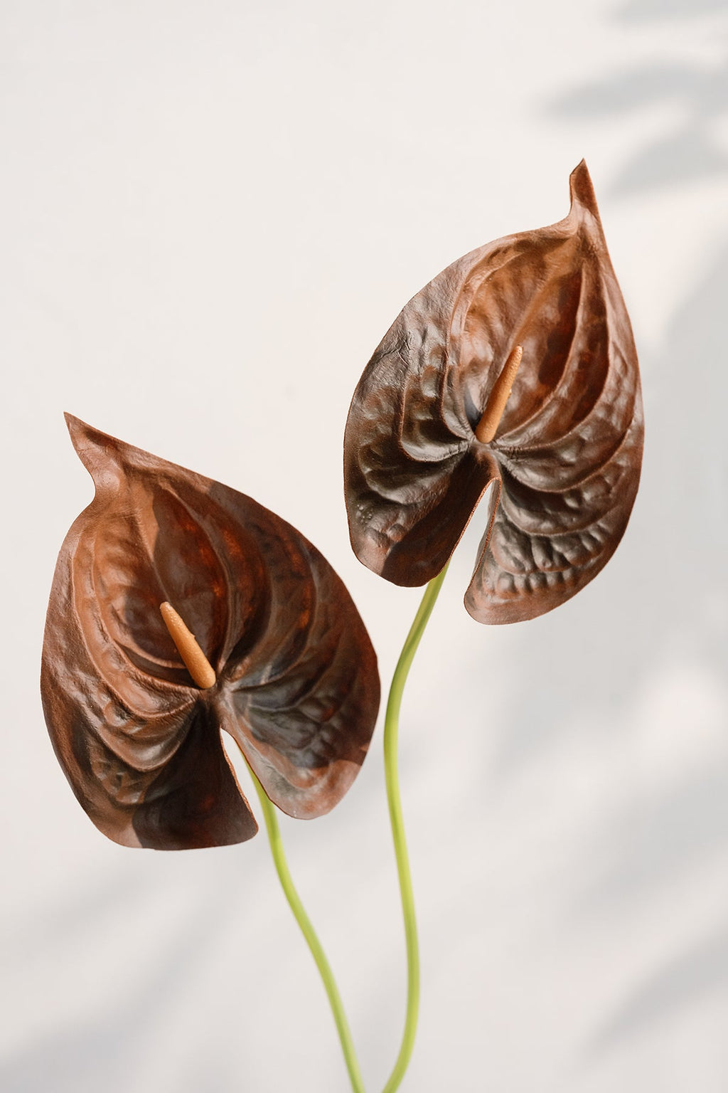 15" Anthurium Flowers with Stem - 5 Colors