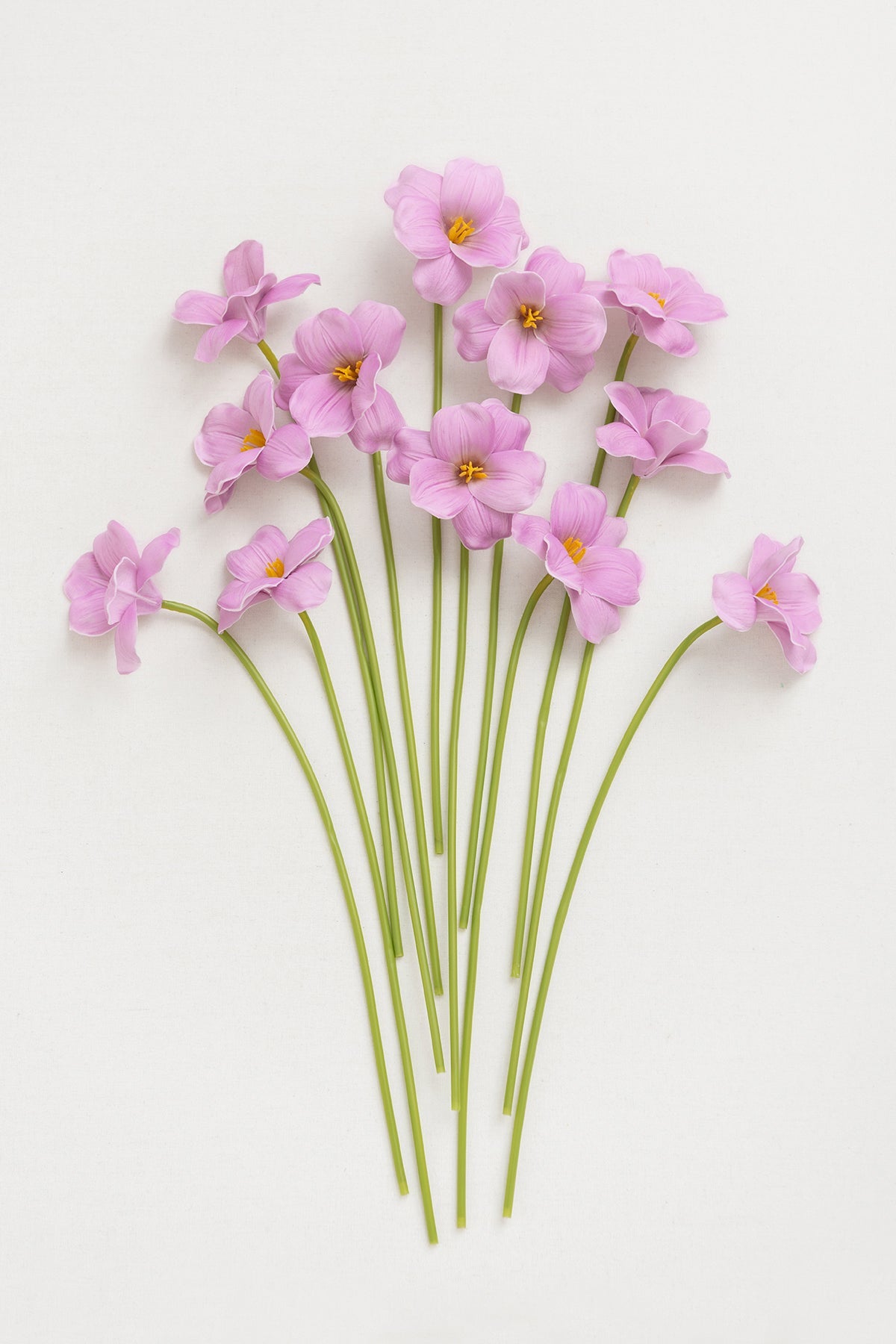 Tulips with Stem - 2 Colors