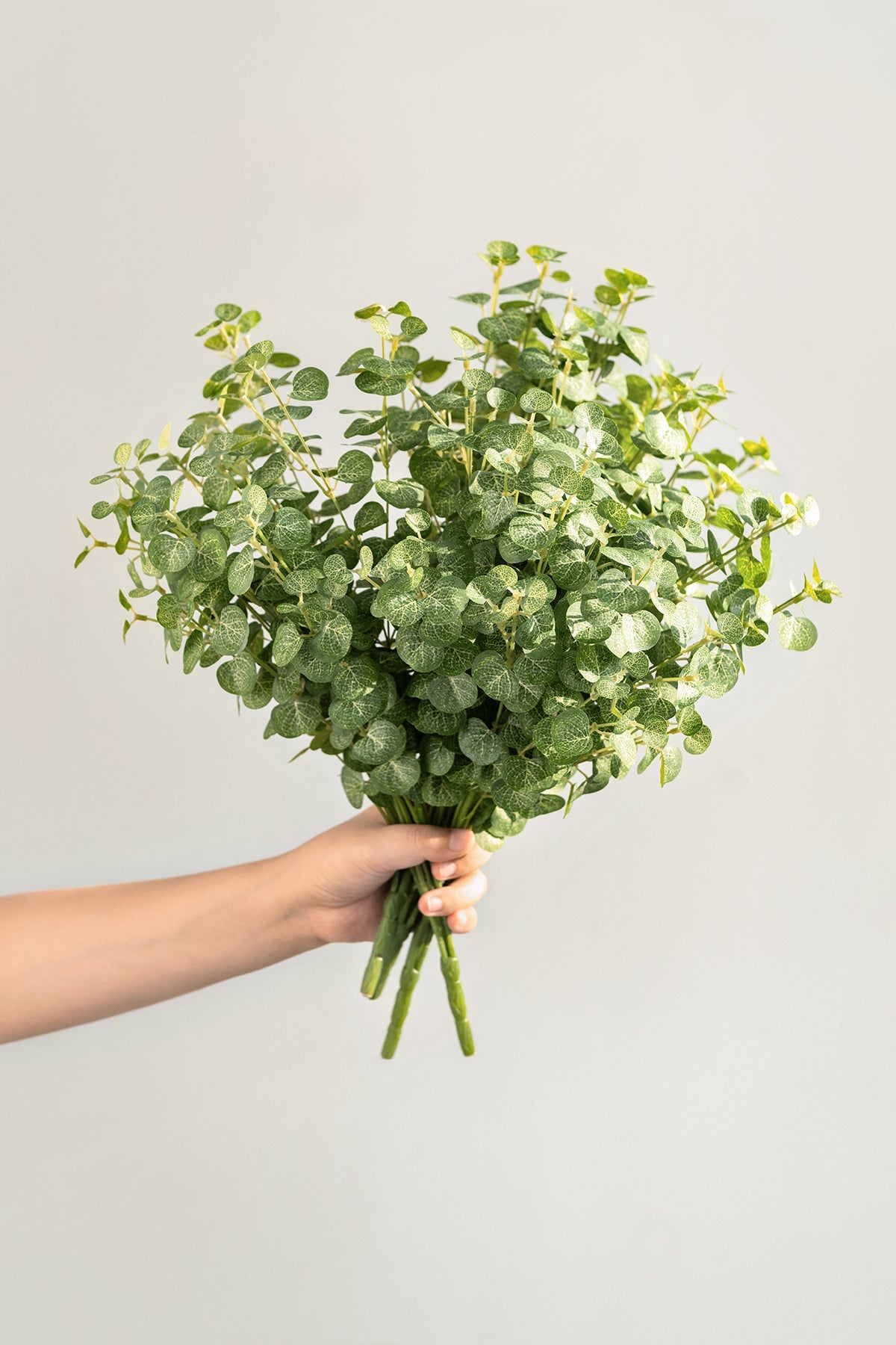 DIY Greenery | Best Sellers