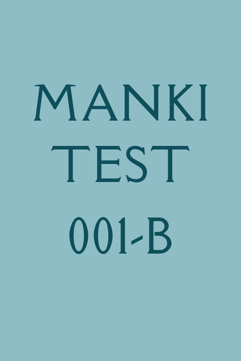 Manki Test 001 (DIY)