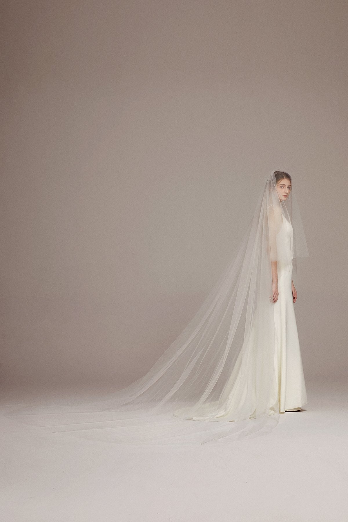 Simple Elegant Two Tier Cathedral Veil with Comb - lingsDev