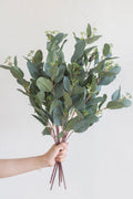 Greenery for DIY - Sunset Terracotta Theme