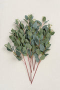Greenery for DIY - Marsala & Blush Theme - lingsDev