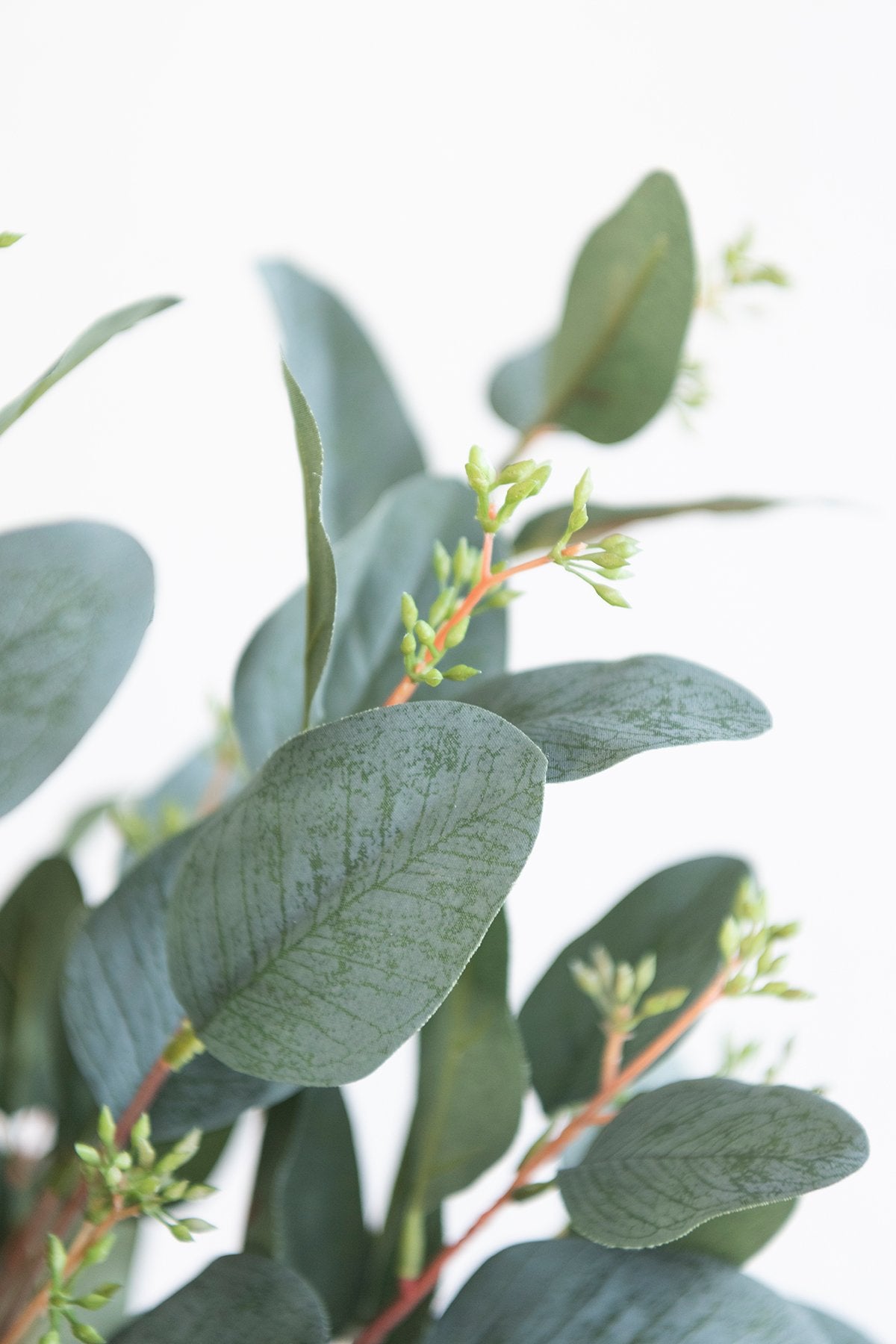 Greenery for DIY - Marsala & Blush Theme - lingsDev