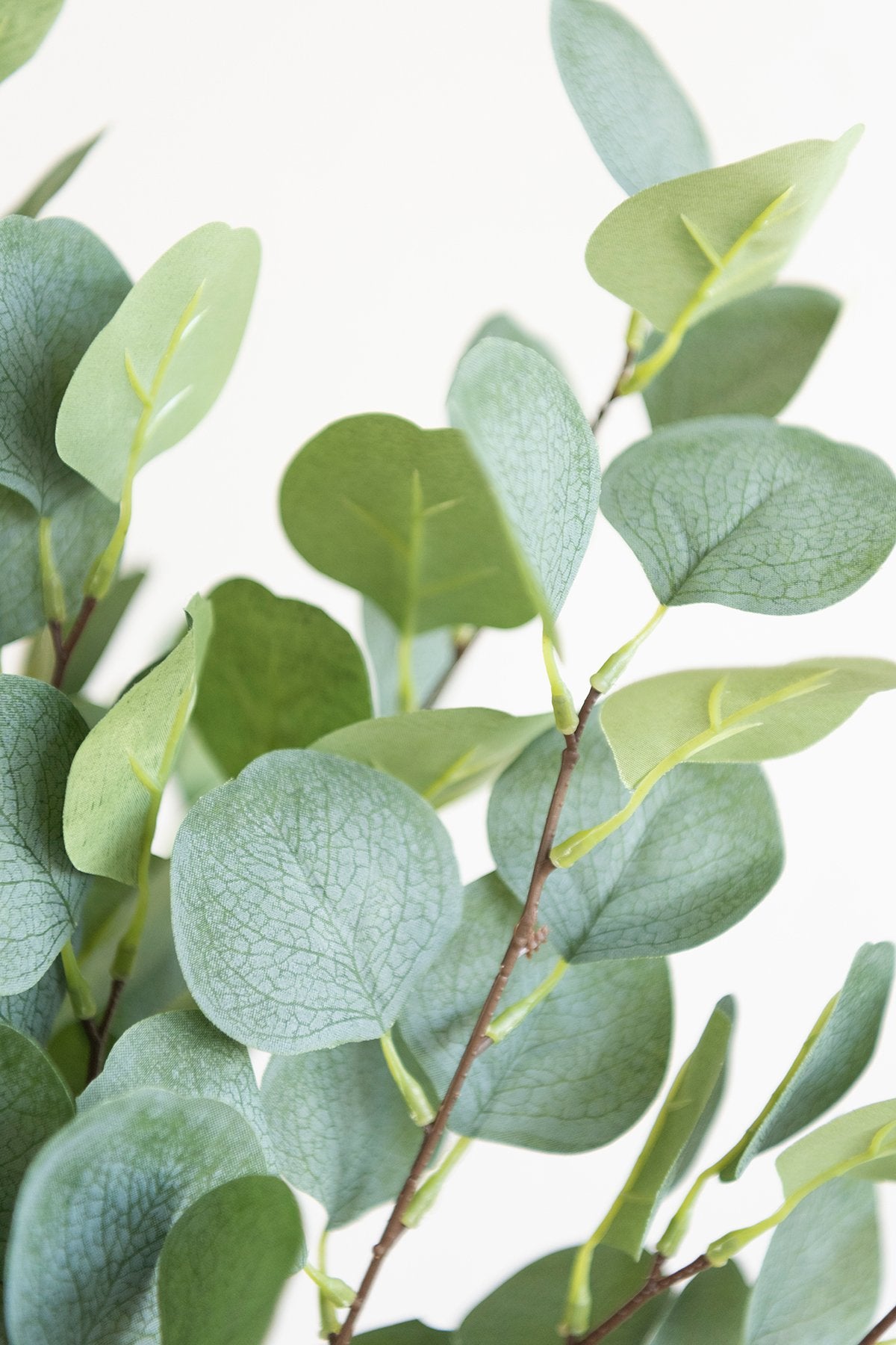 Greenery for DIY - Burgundy & Navy Blue Theme - lingsDev