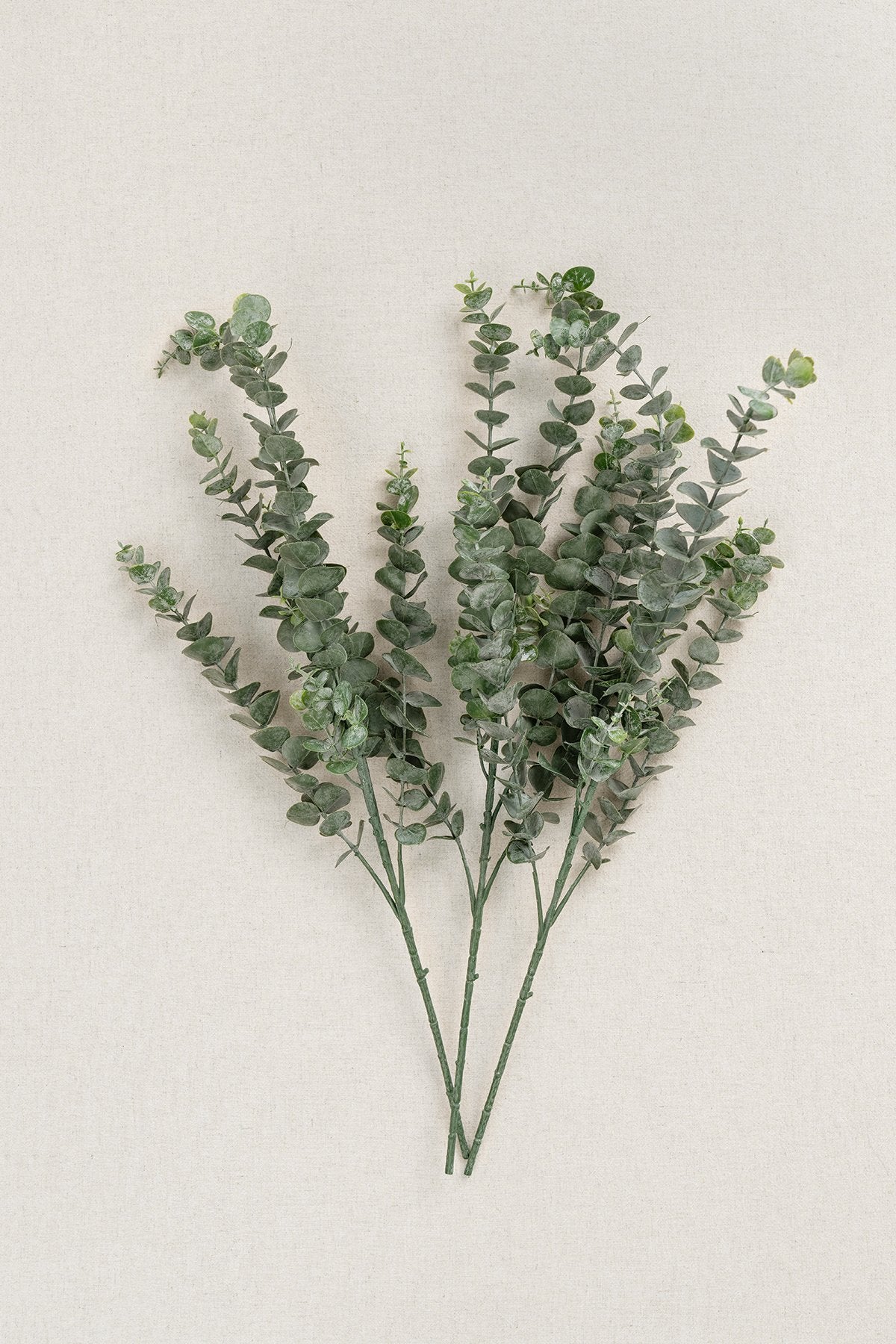 Greenery for DIY - Marsala & Blush Theme - lingsDev