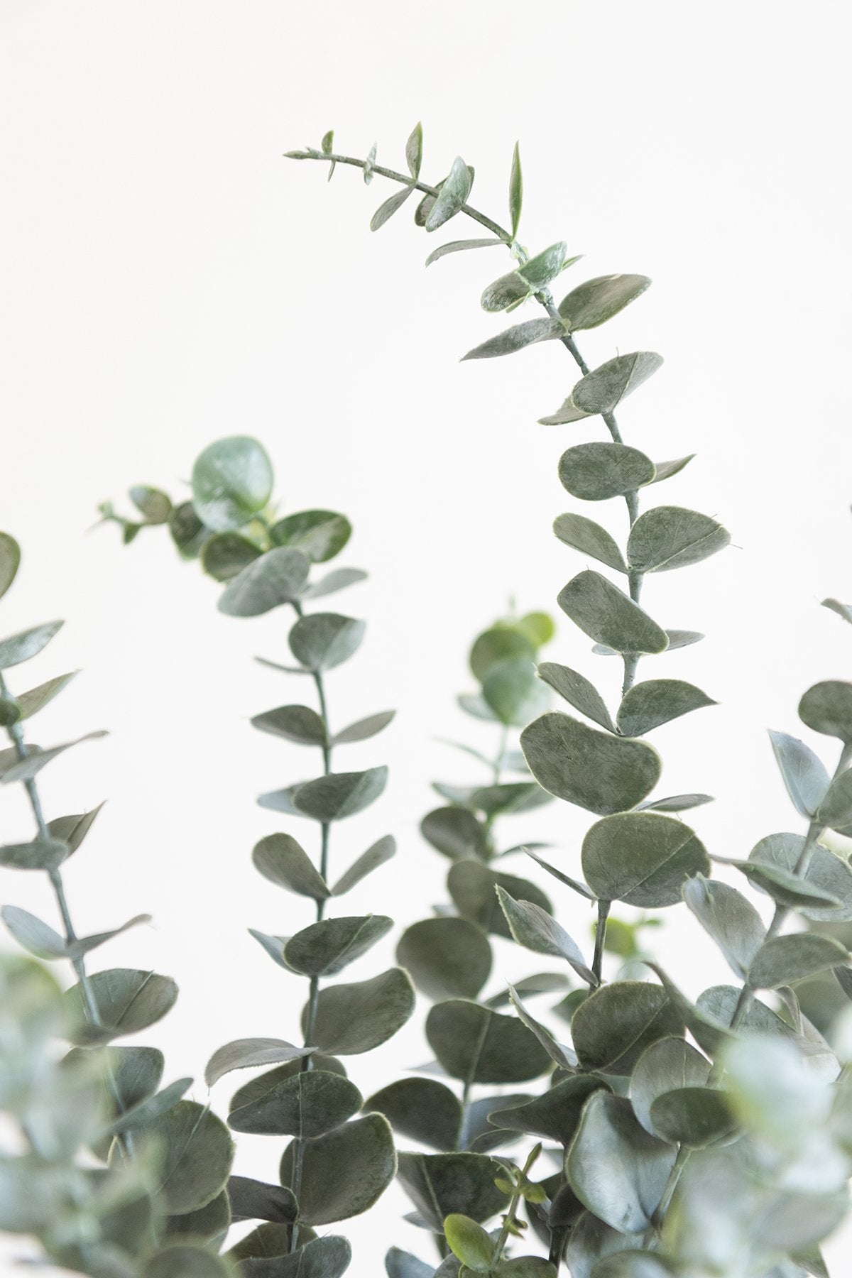 Greenery for DIY - Burgundy & Navy Blue Theme - lingsDev