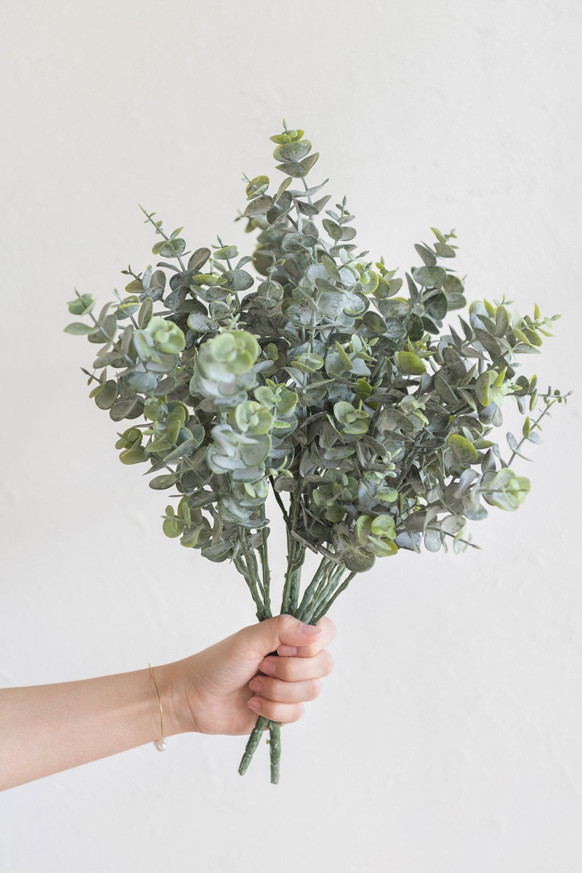 Greenery for DIY - White & Beige Theme - lingsDev
