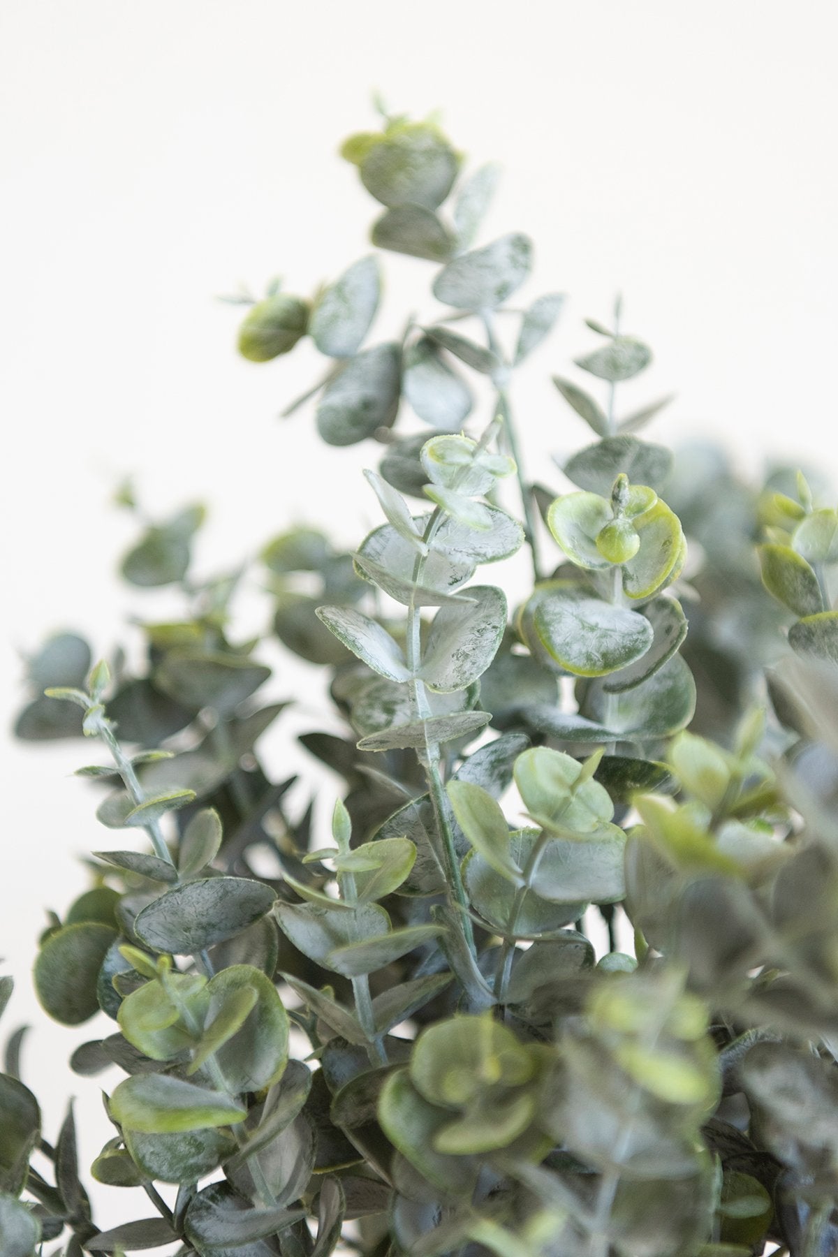 Greenery for DIY - Marsala & Blush Theme - lingsDev