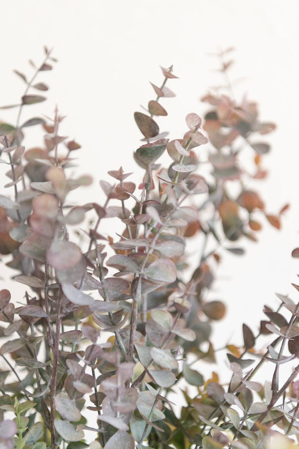 Greenery for DIY - Sunset Terracotta Theme