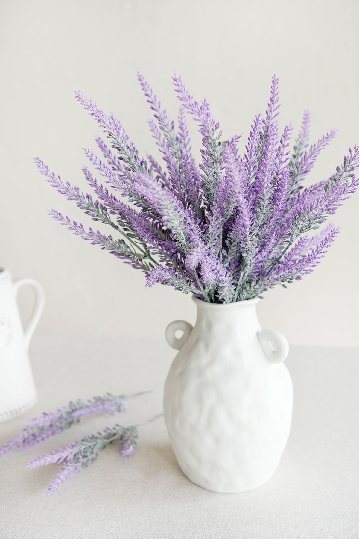 Purple Lavender Bush