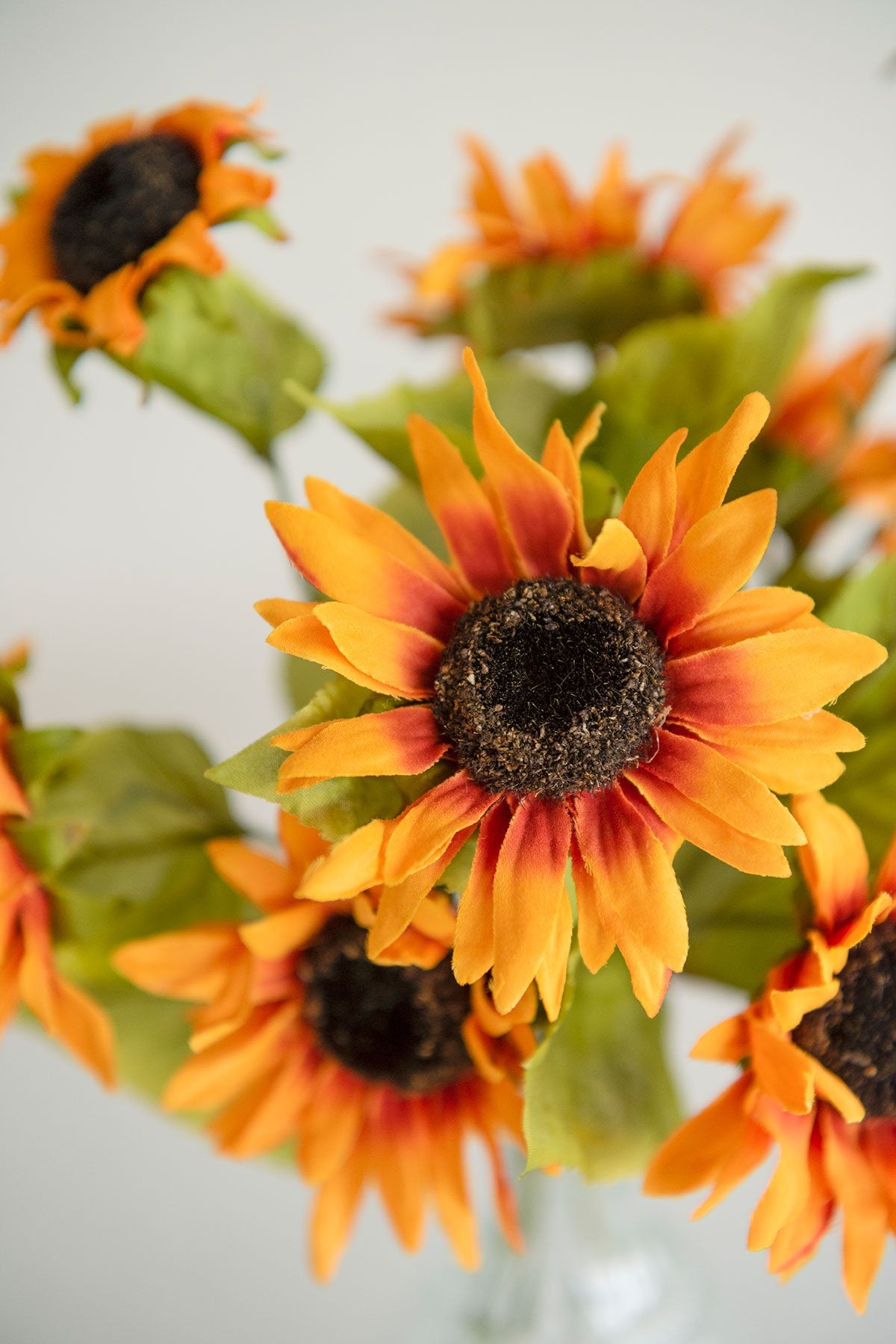 Silk Sunflower - lingsDev
