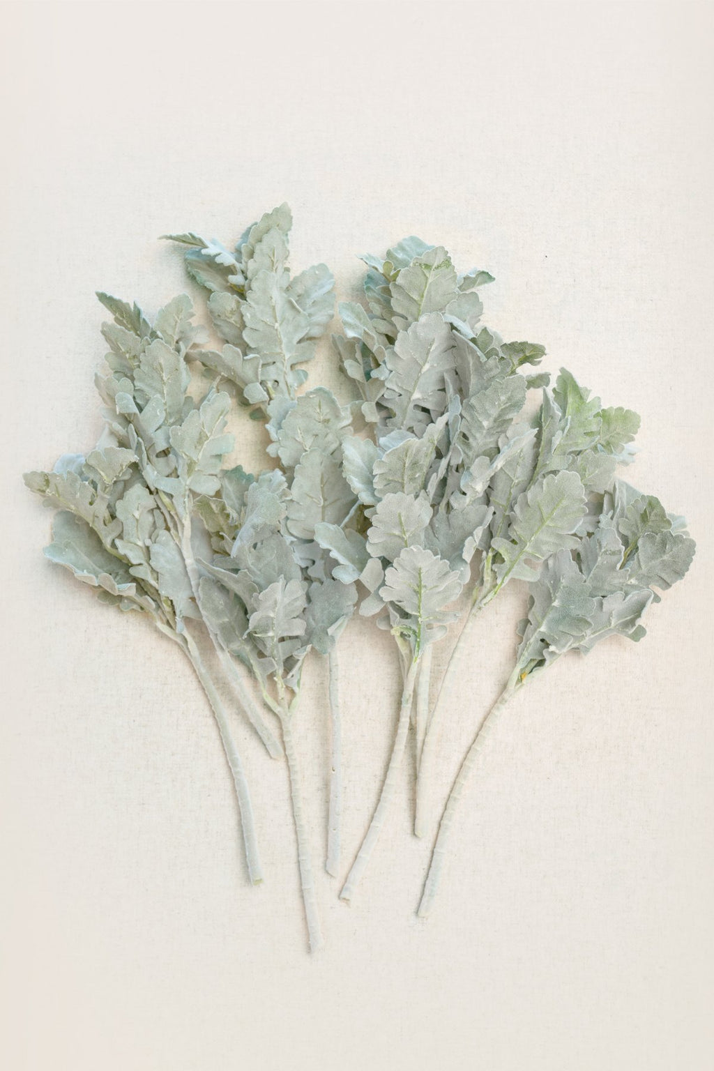 White & Beige Flowers & Greenery for DIY - lingsDev