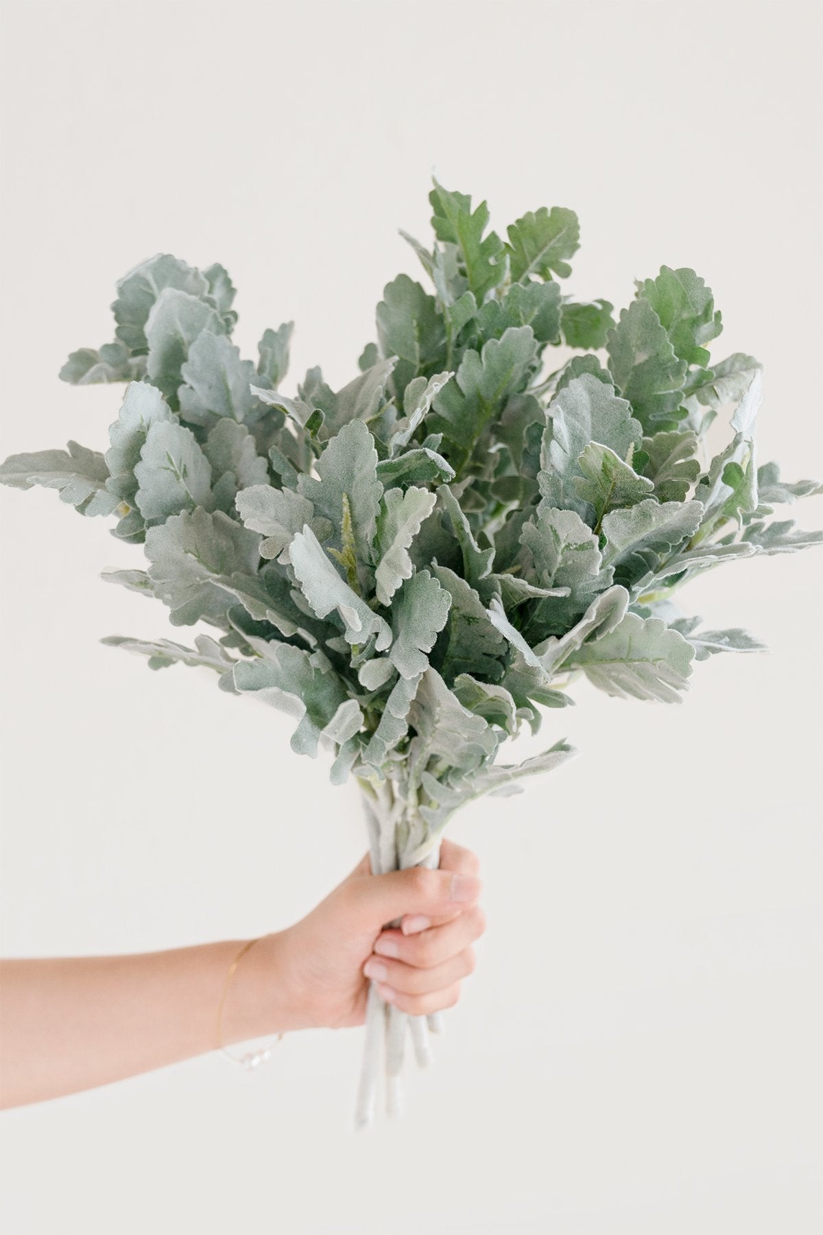White & Beige Flowers & Greenery for DIY - lingsDev