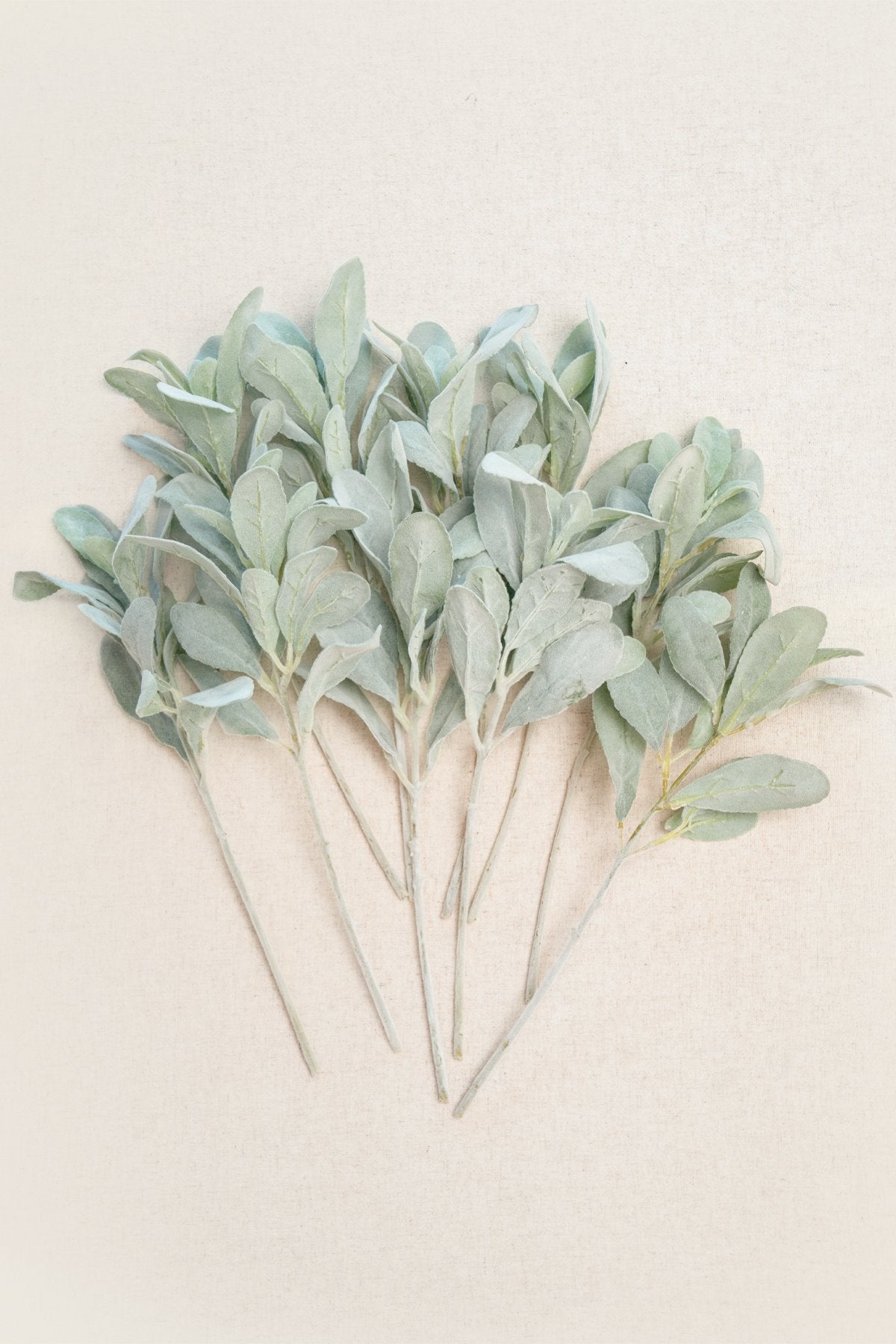 White & Beige Flowers & Greenery for DIY - lingsDev