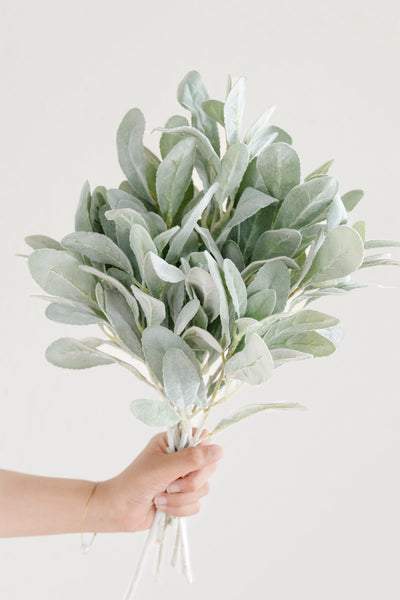 Flocked Lambs Ear Leaf Spray - lingsDev