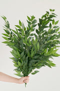 Greenery for DIY - Whimsical Christmas Theme - lingsDev