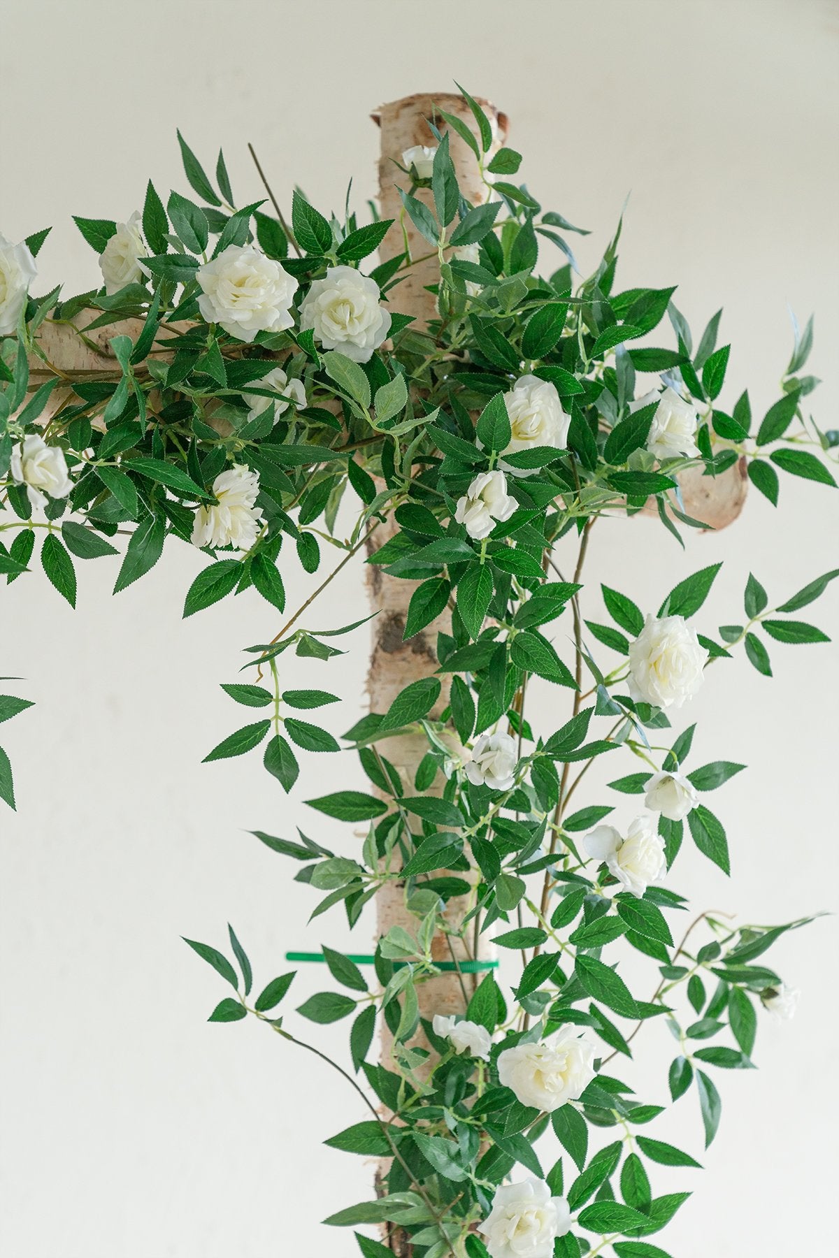 Rosa Banksiae Vine 6FT - 3 Styles - lingsDev
