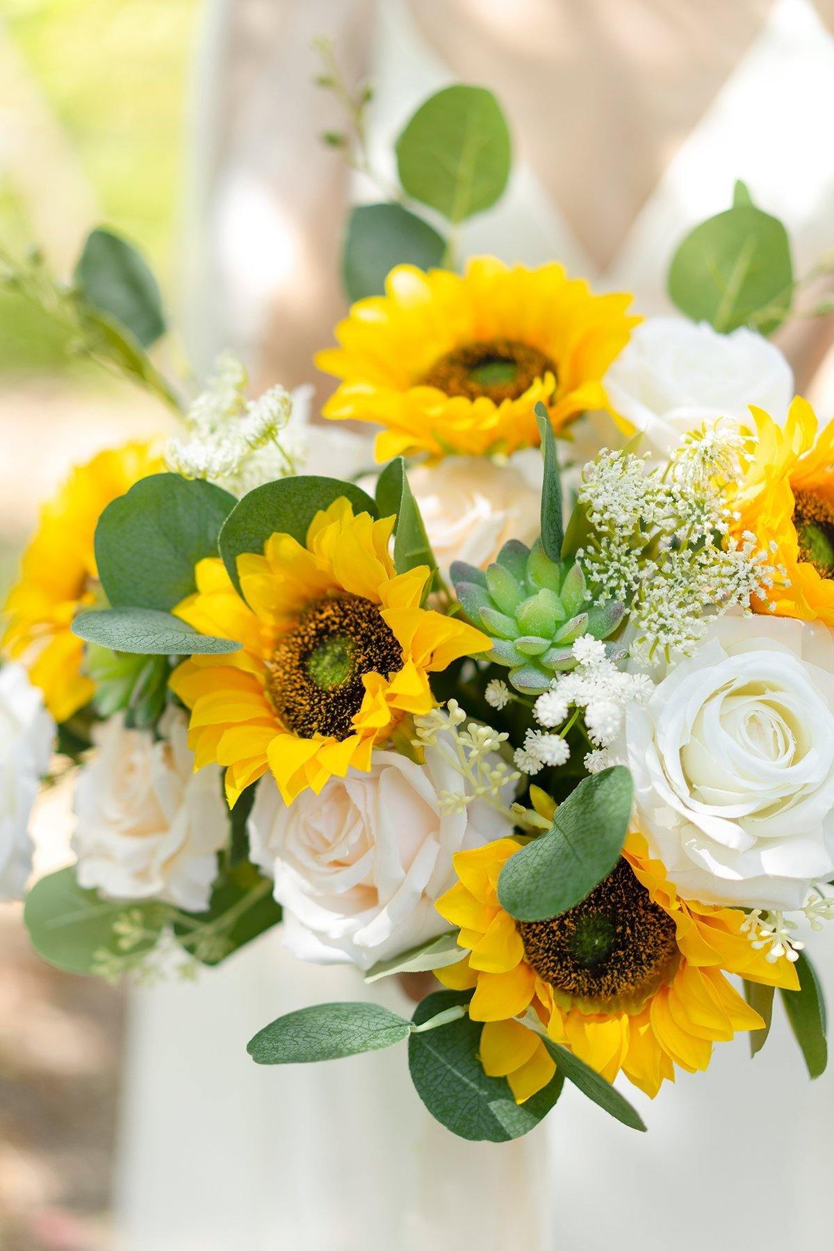 Sunflowers Box Set - 6 Styles - lingsDev