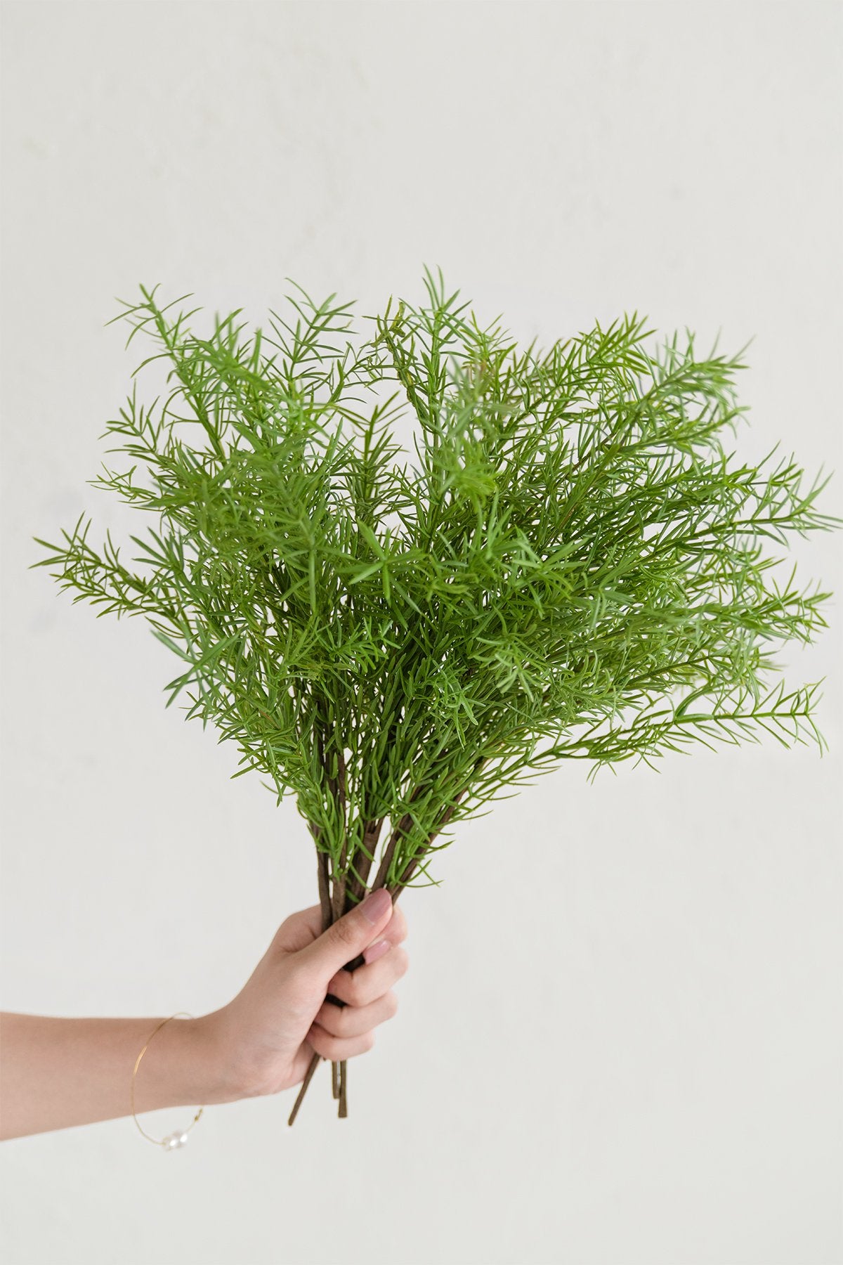 Greenery for DIY - Whimsical Christmas Theme - lingsDev