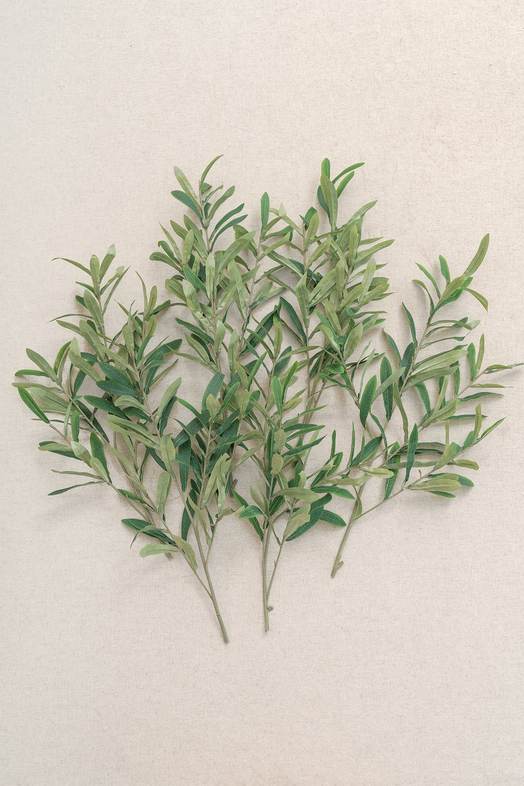 Greenery for DIY - Sage Green Theme - lingsDev
